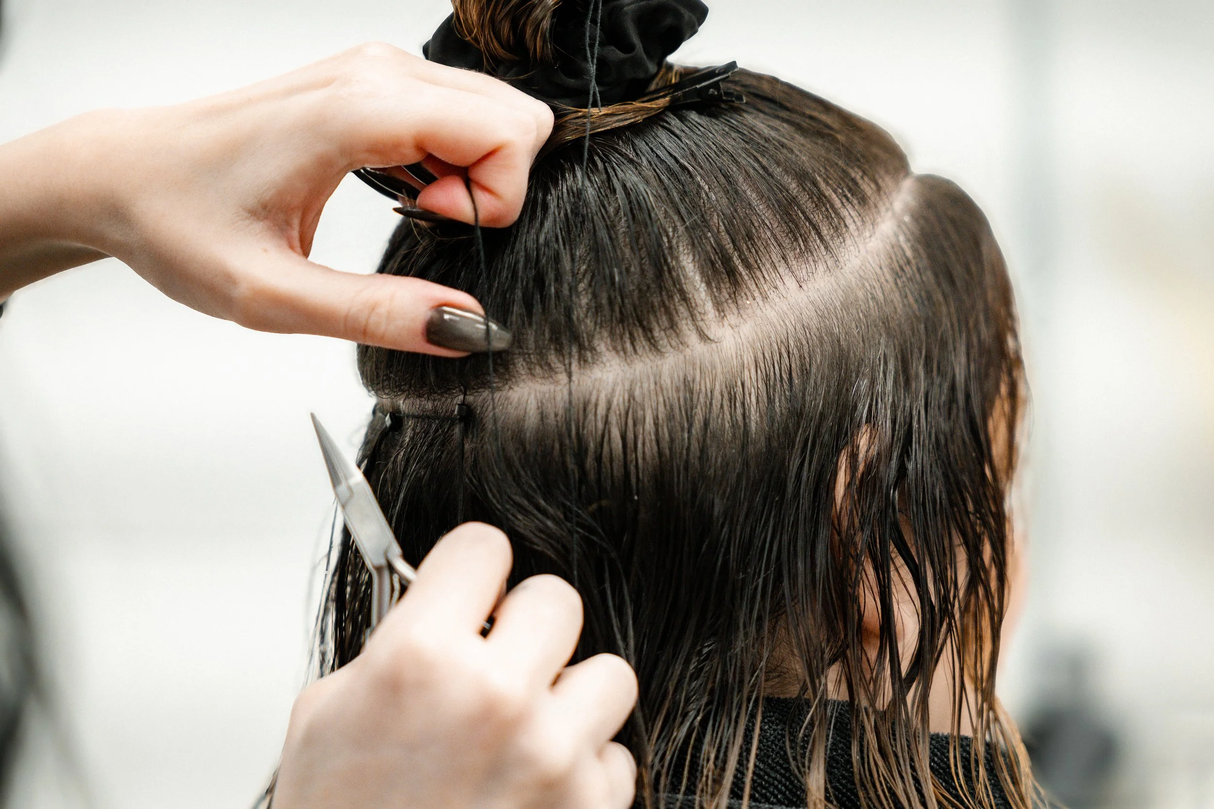 A person getting a haircut with hair being cut using scissors and held with clips.