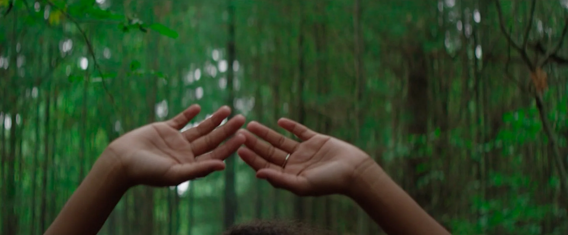 Sequence 02.00_03_47_20.Still015.jpg