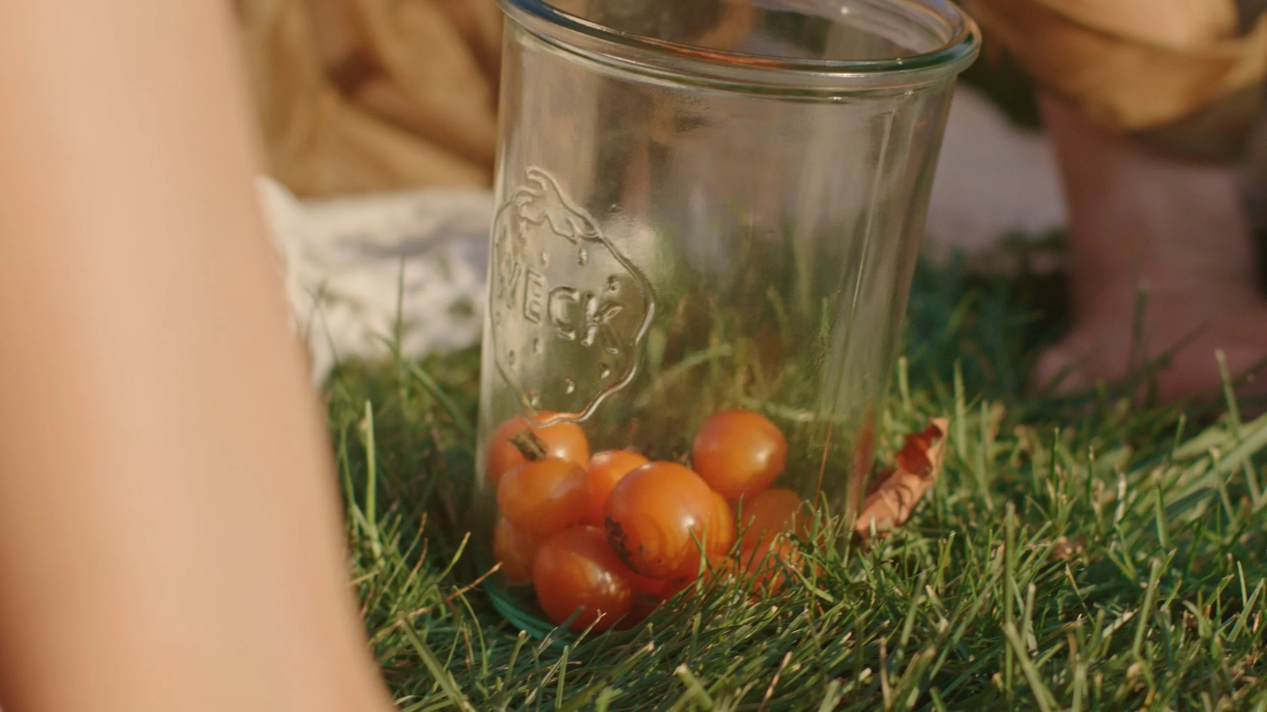 Still 2025-05-01 174730_1.87.1.jpg