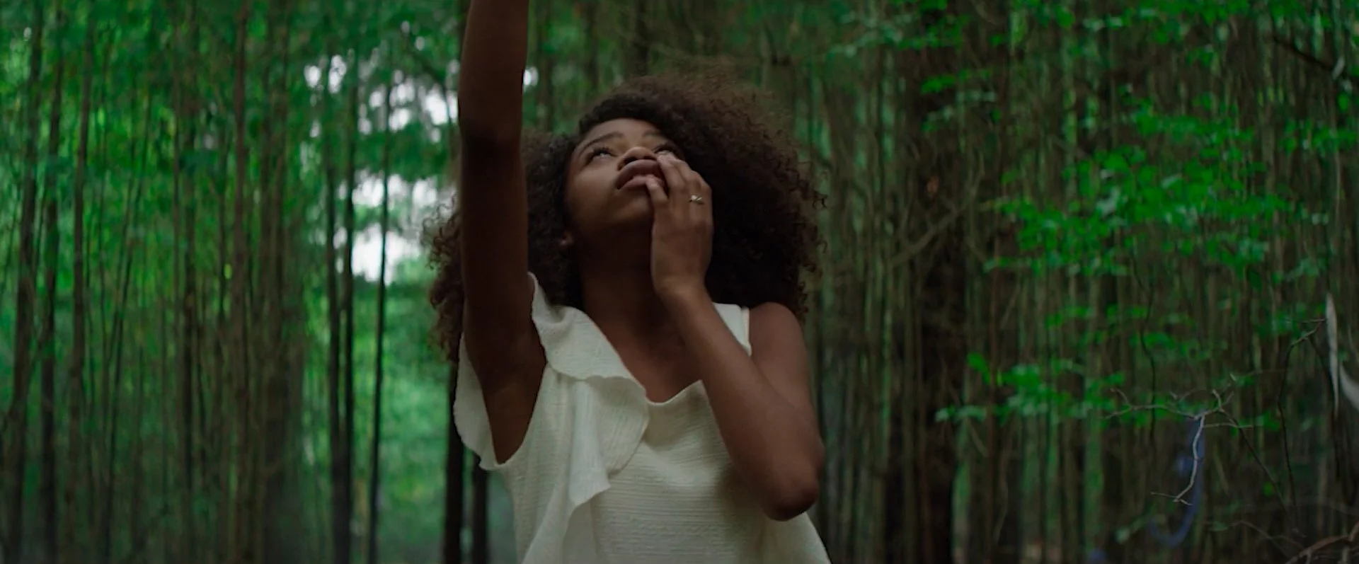 Sequence 02.00_03_53_00.Still016.jpg