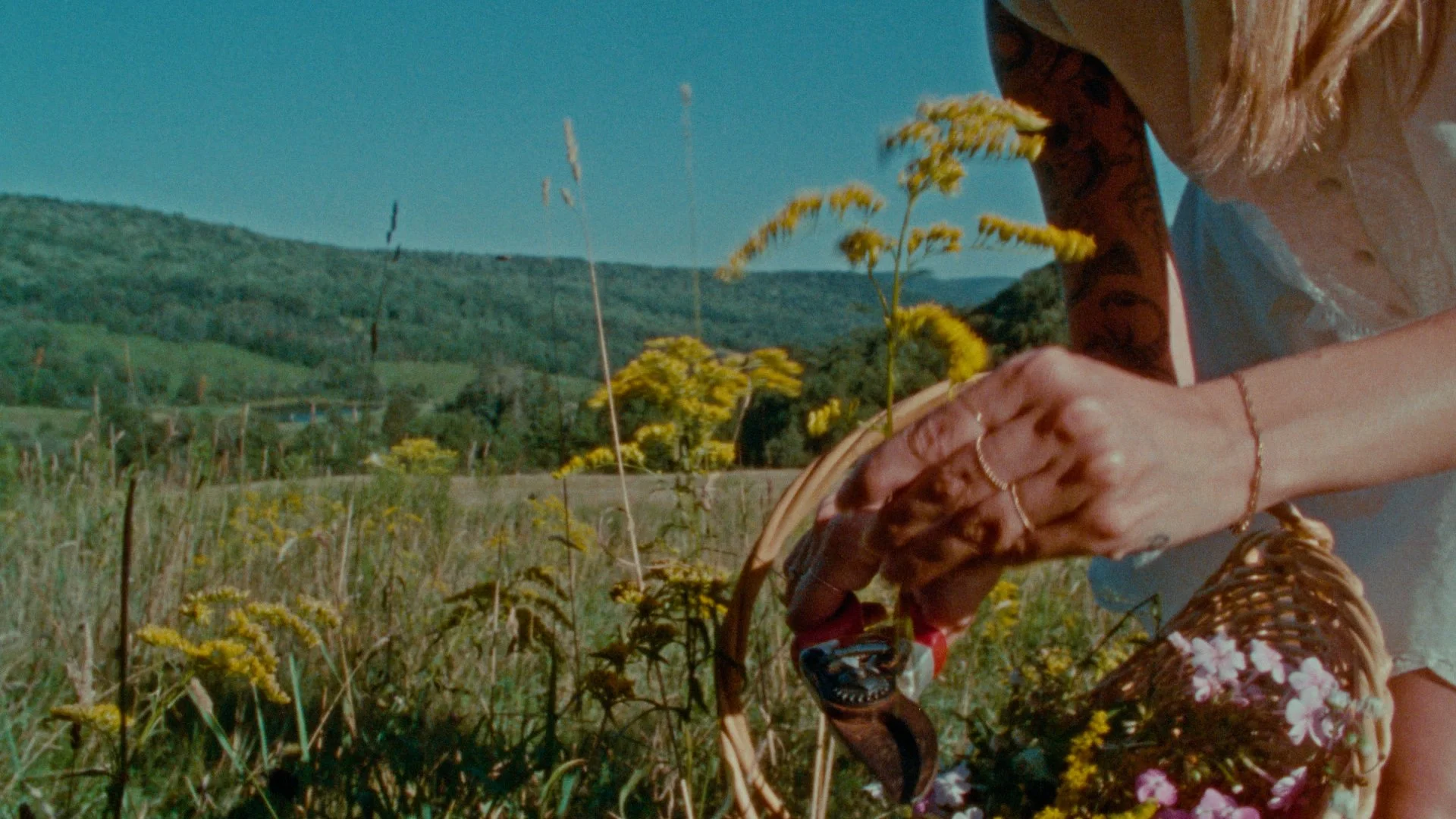 COLORGRADE.00_00_02_06.Still001.jpg