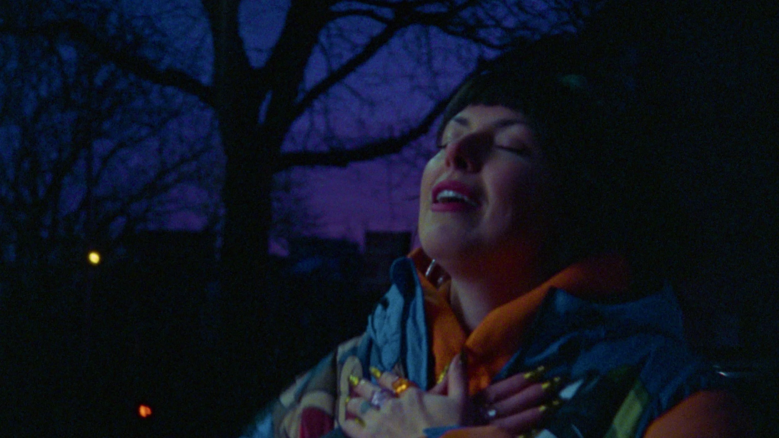 Sleigh Bells Bunky Pop Master.mov.00_01_55_20.Still048.jpg