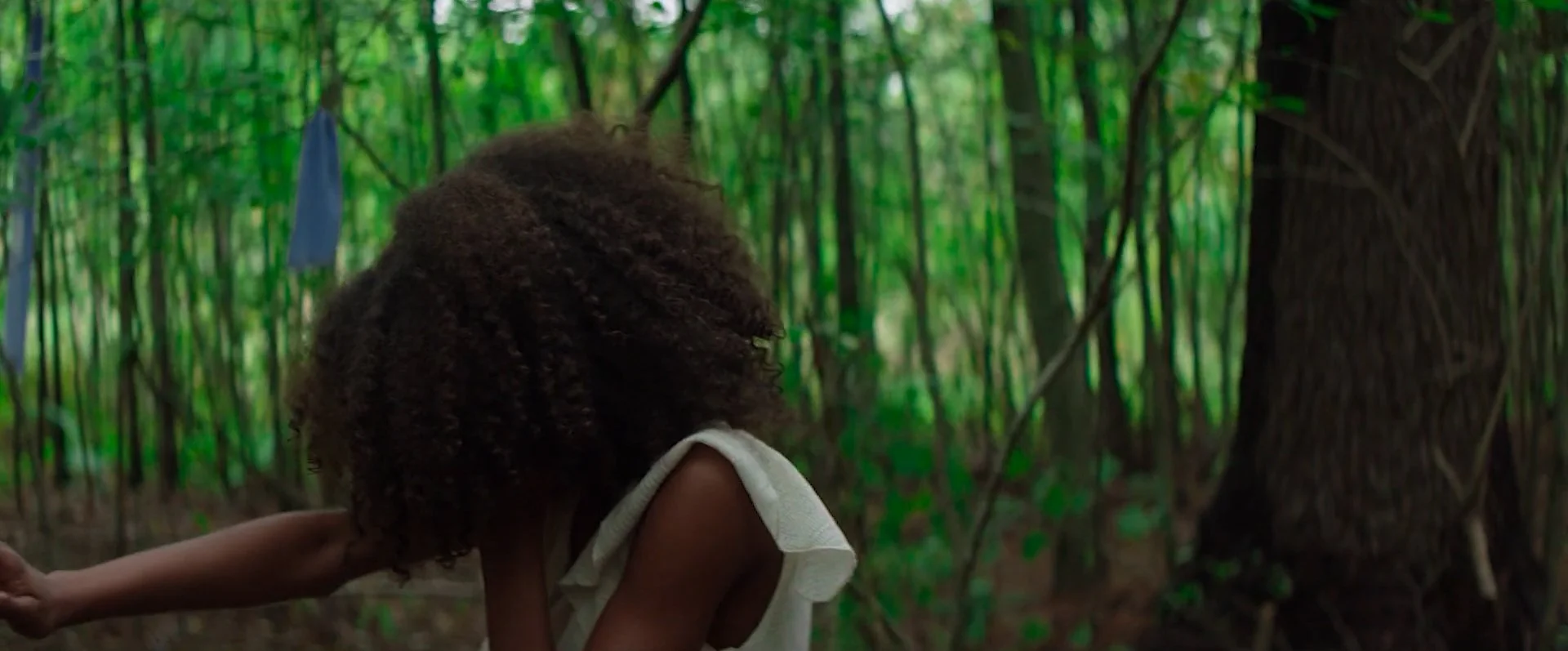 Sequence 02.00_03_55_09.Still018.jpg