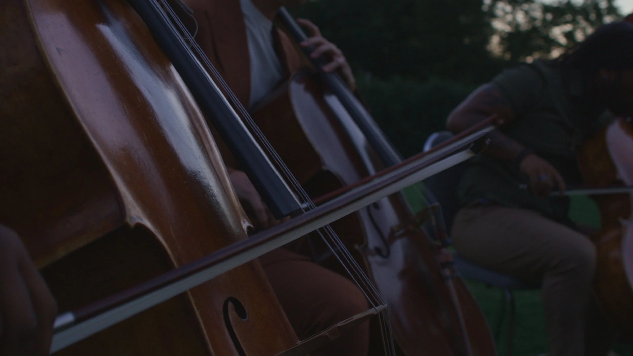 Still 2025-05-01 174730_1.107.1.jpg