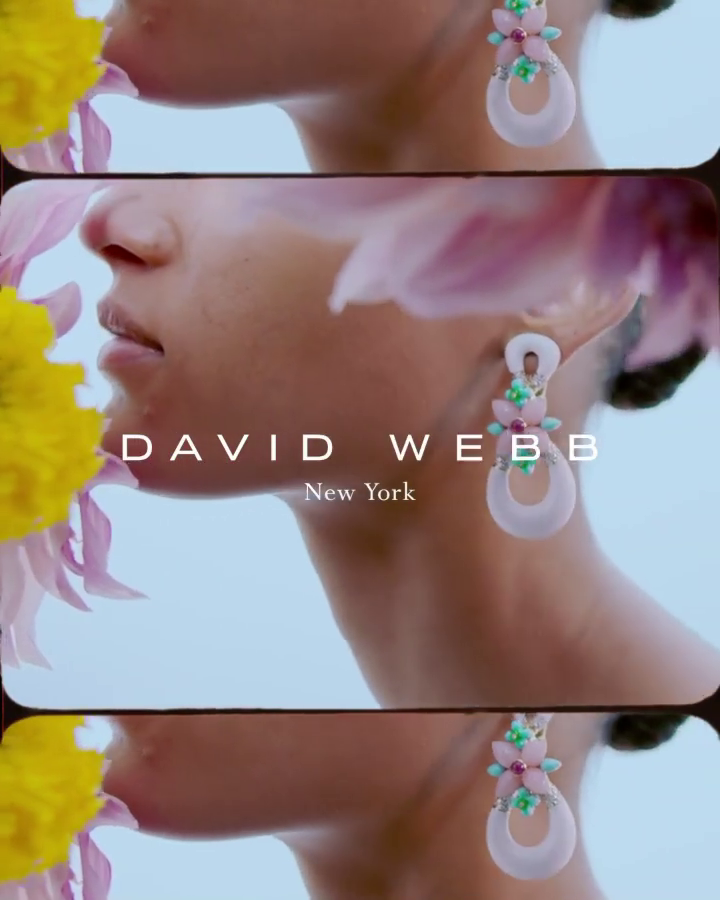 David Webb