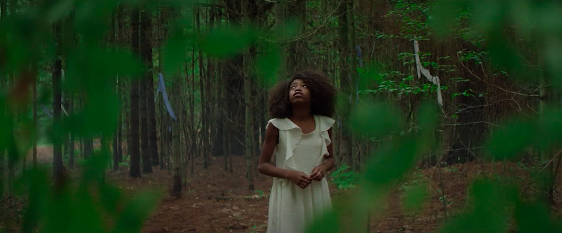 Sequence 02.00_03_36_20.Still014.jpg