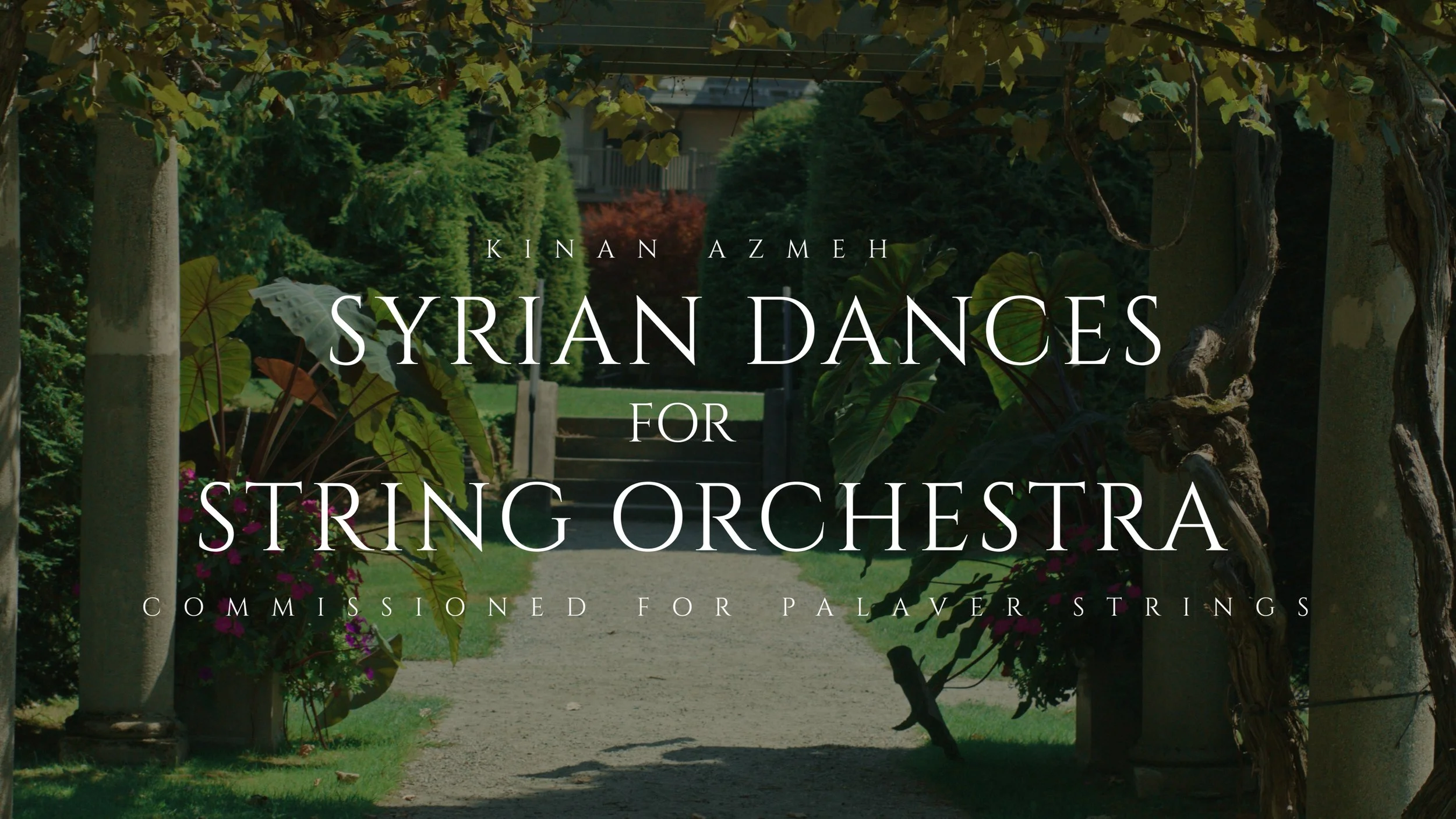 Still 2025-05-01 174730_1.1.2.jpg