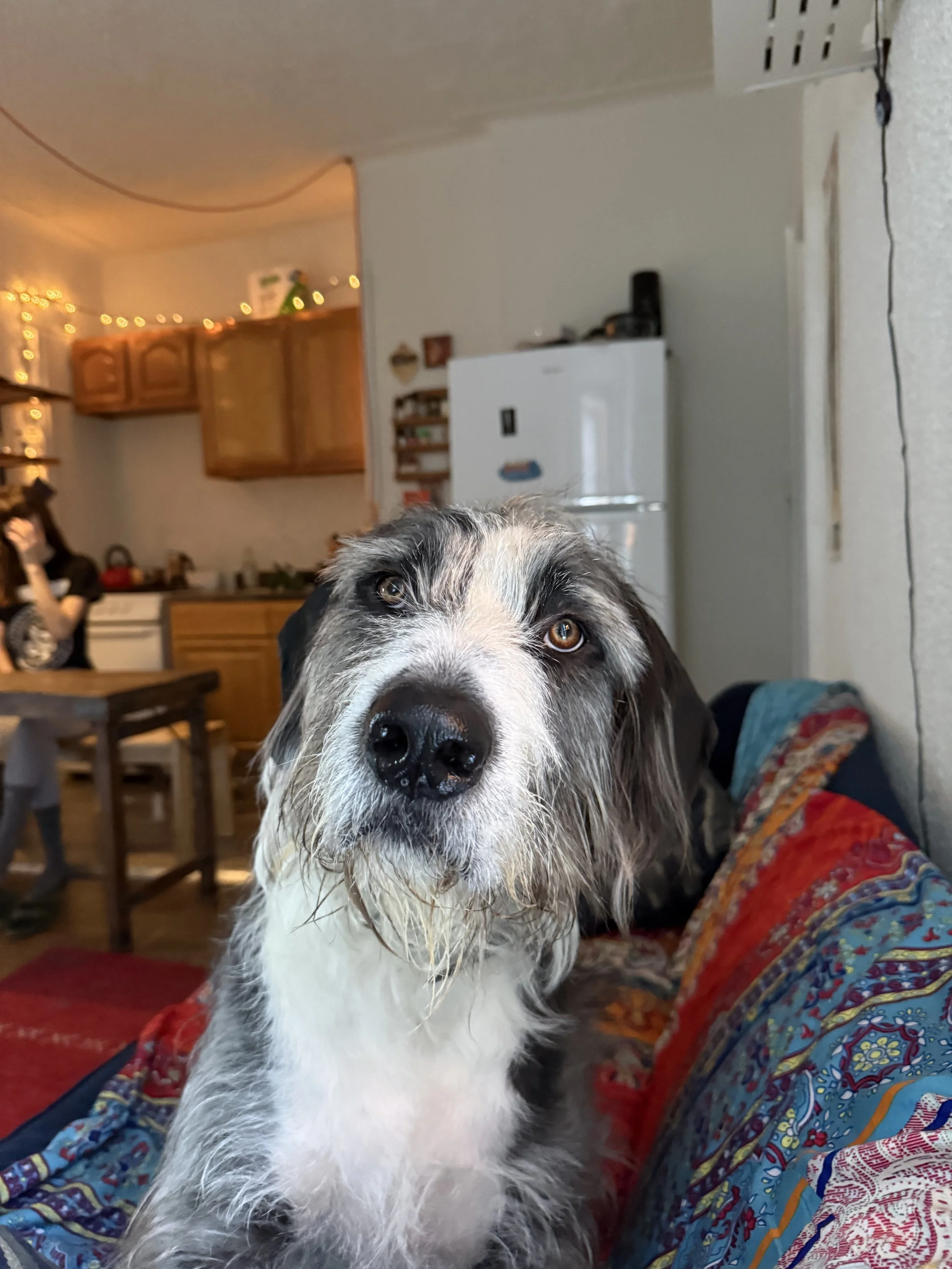 Busy, Snowy days in NYC