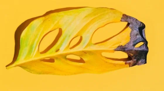 How Ageism Impacts Women Throughout Their Careers