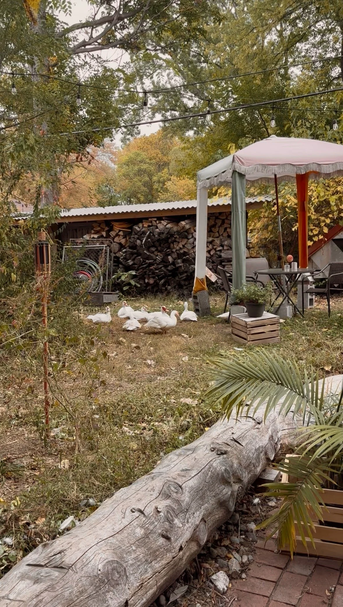 Beaverland Farms Mindful Mornings: Yoga+Sound Bath 5/23