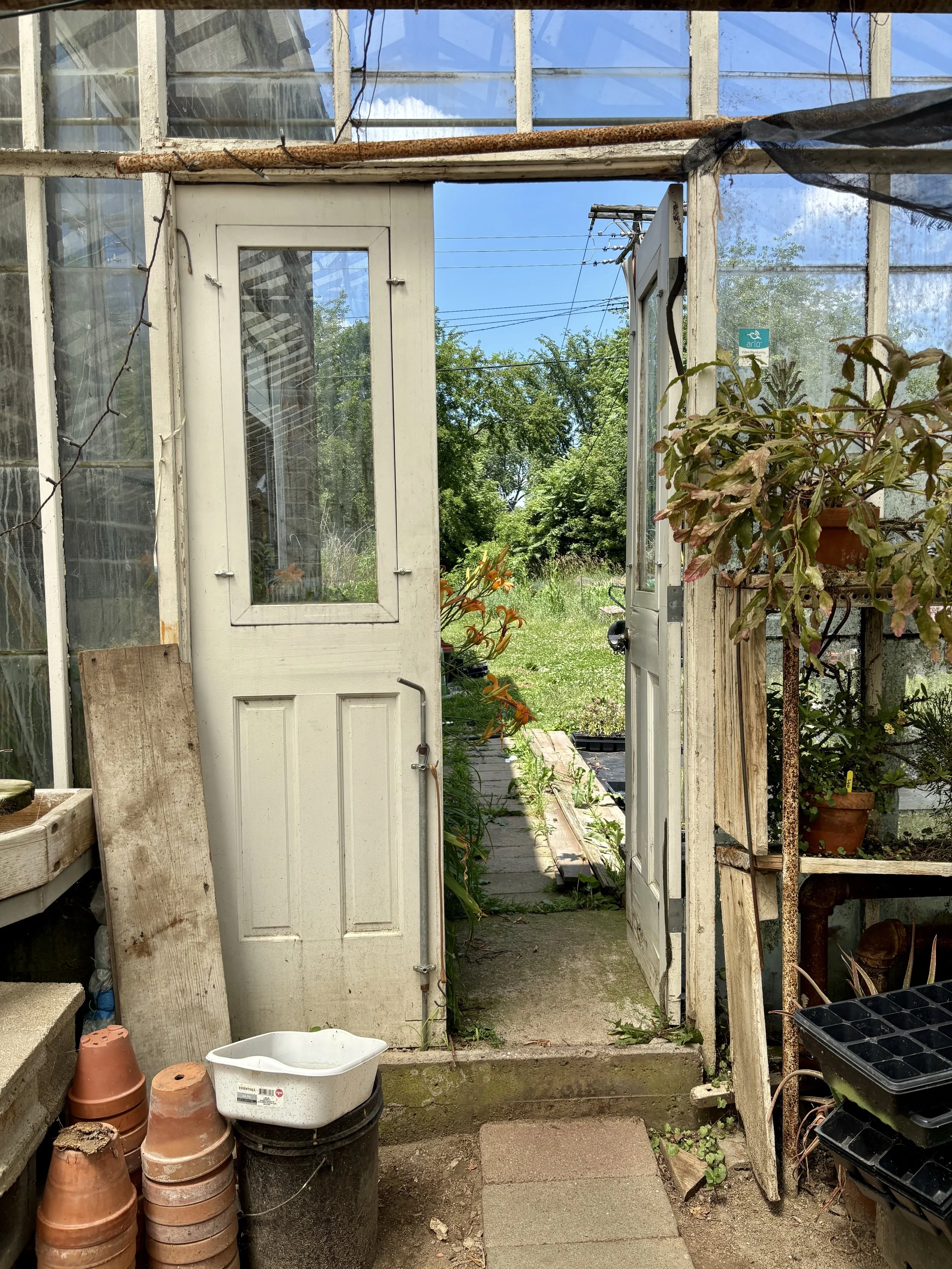 IMG_7862.jpeg (Copy)