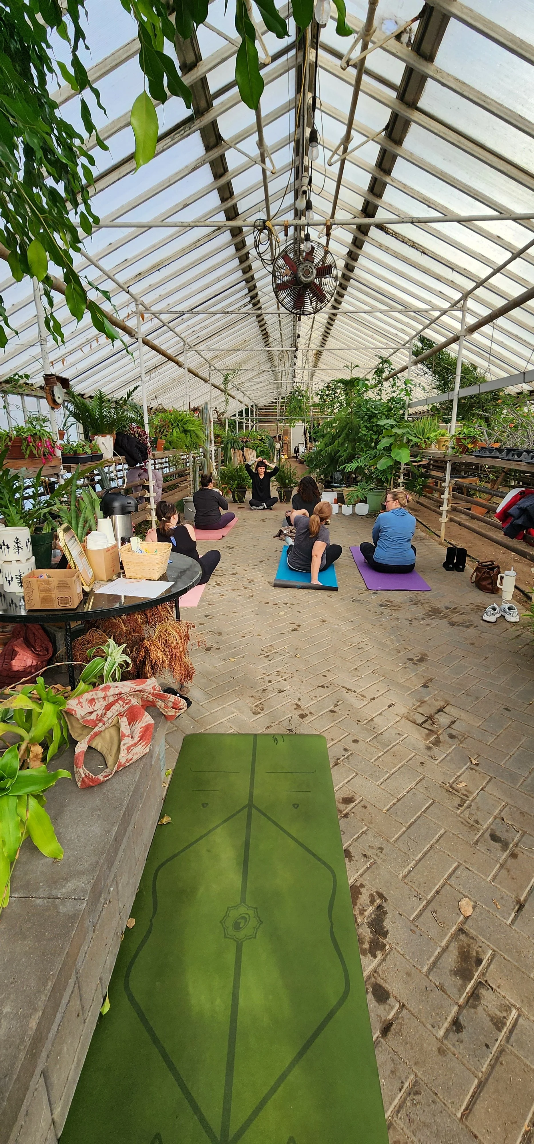 FRI. 4/17 Greenhouse Slow Flow + Sound Bath