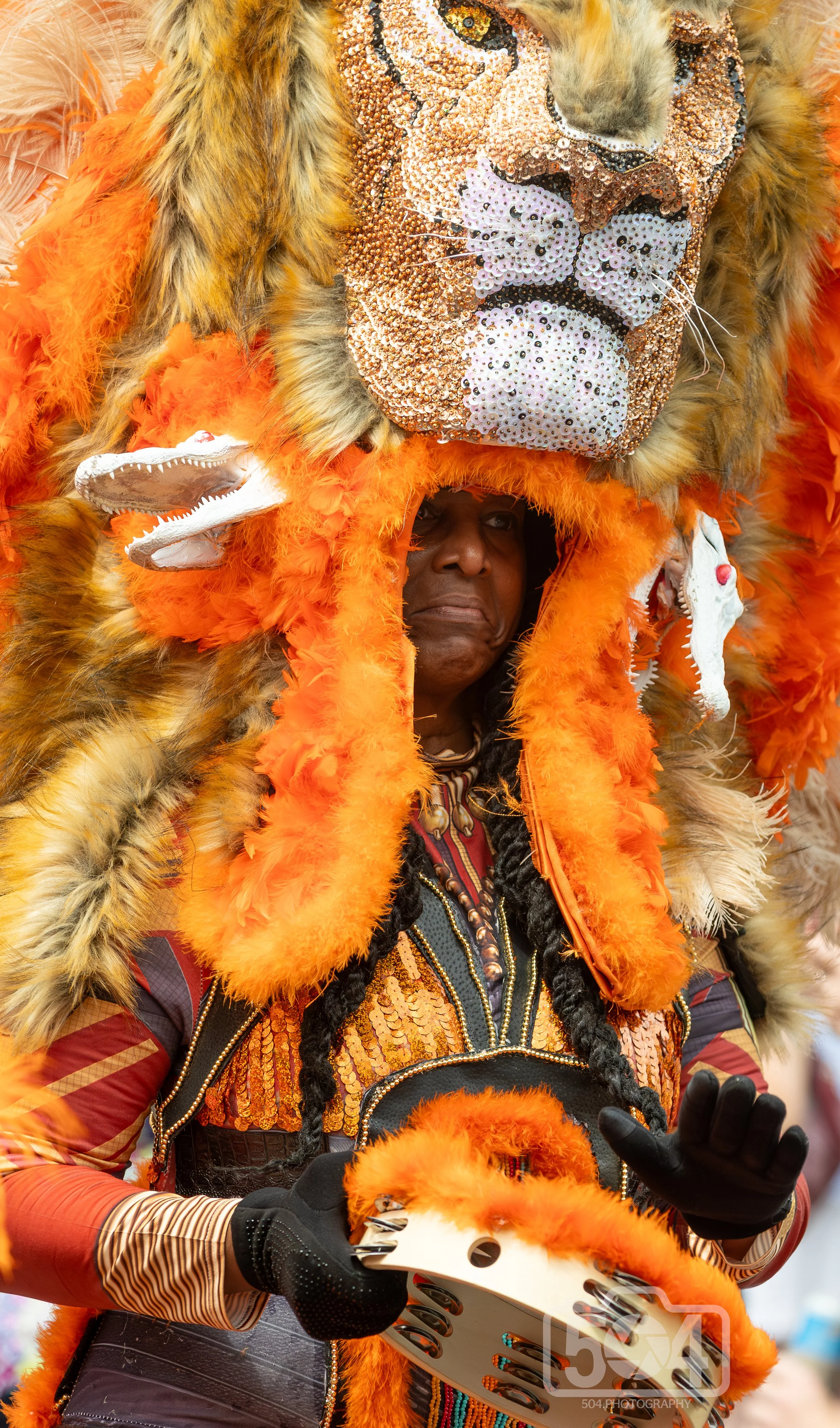 orange with lion.jpg