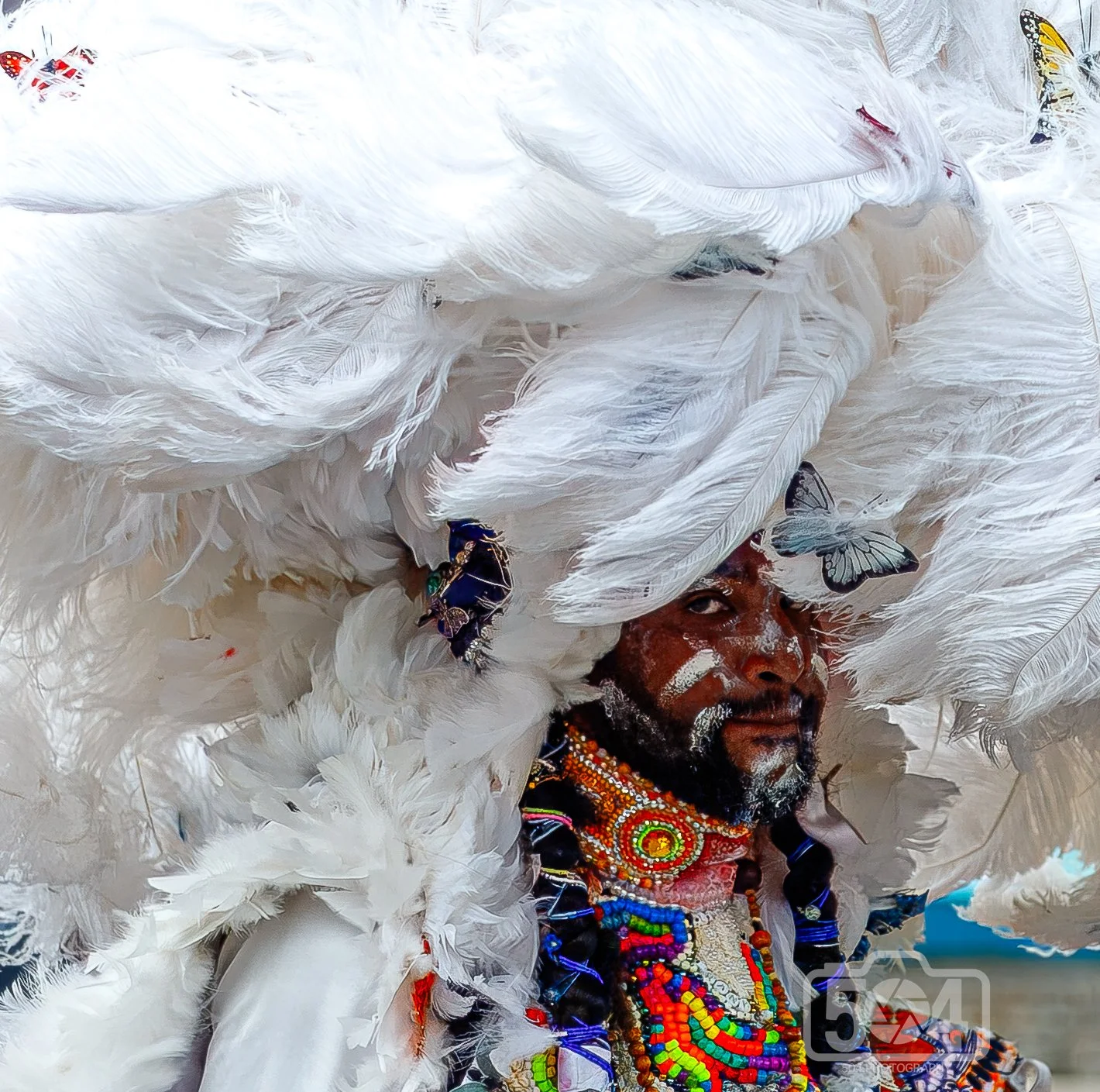 White feather Indian.jpg