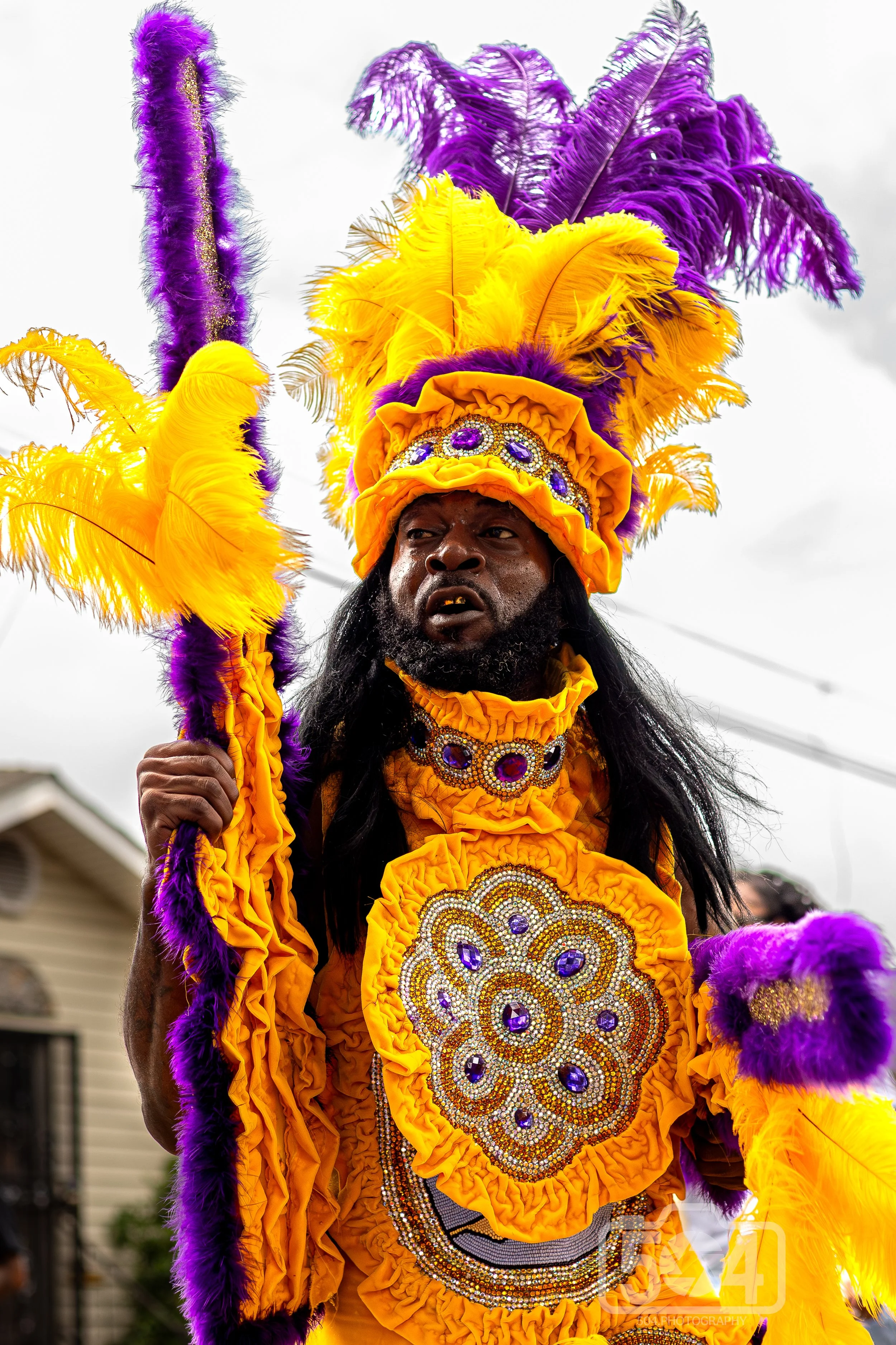 Purple and Gold Indian.jpg