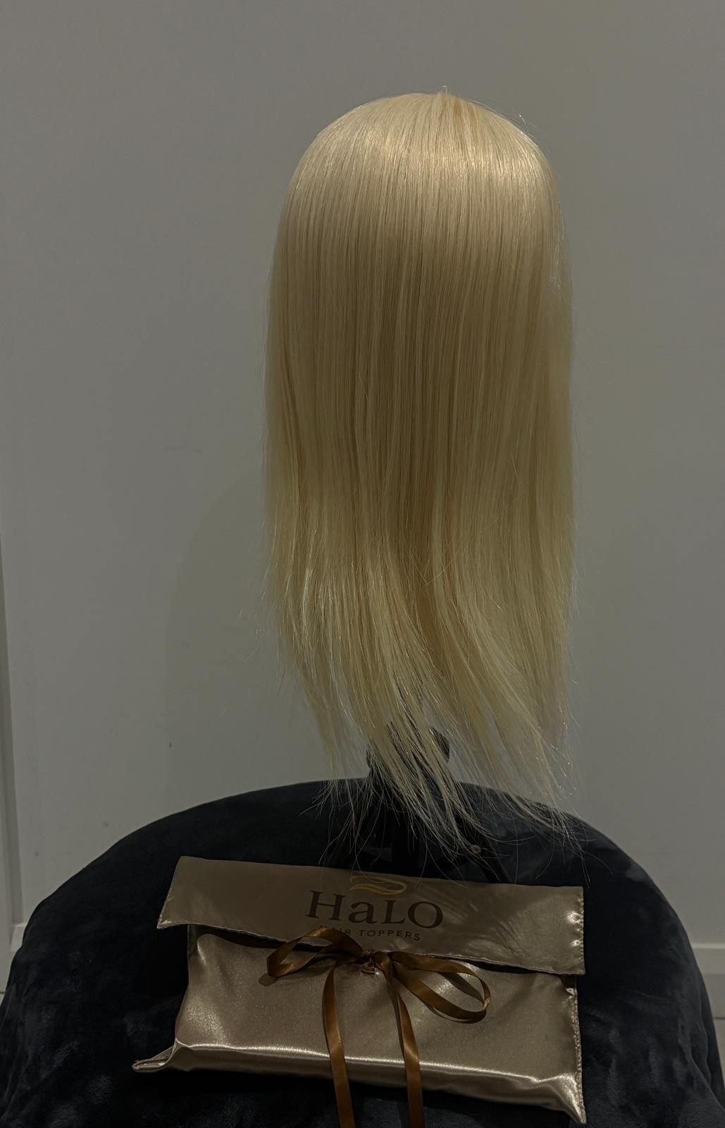 PHOTO-2026-02-08-21-59-07 2.jpeg