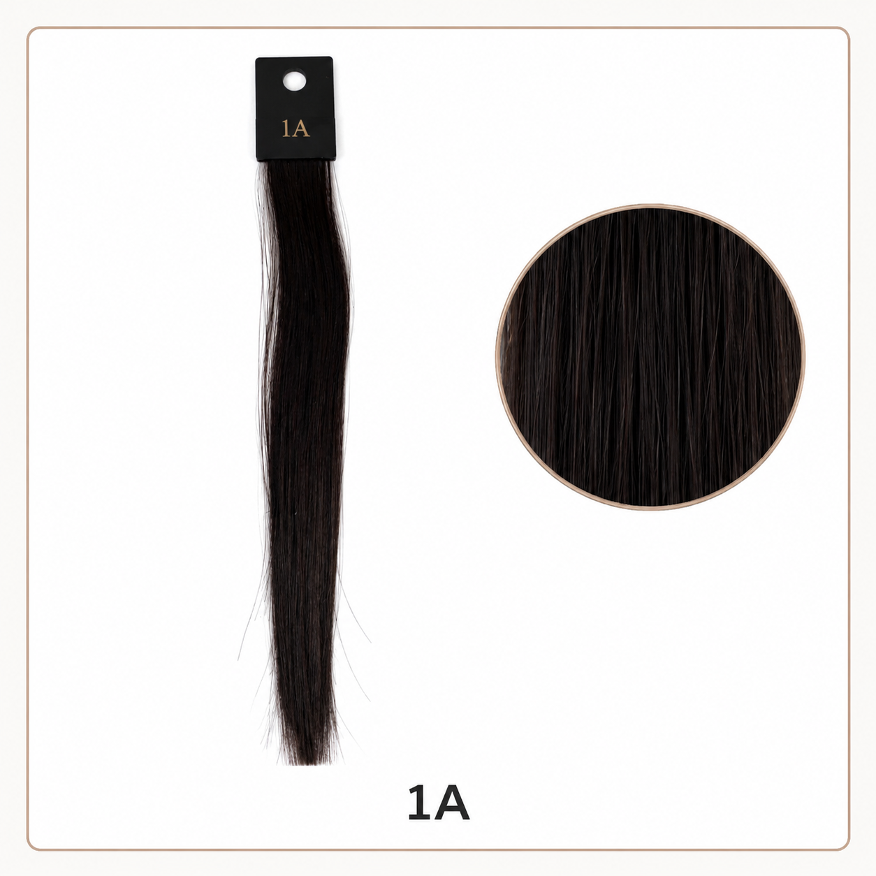 80F86BE7-AAD8-443C-B4C5-771767F5A5FB.png