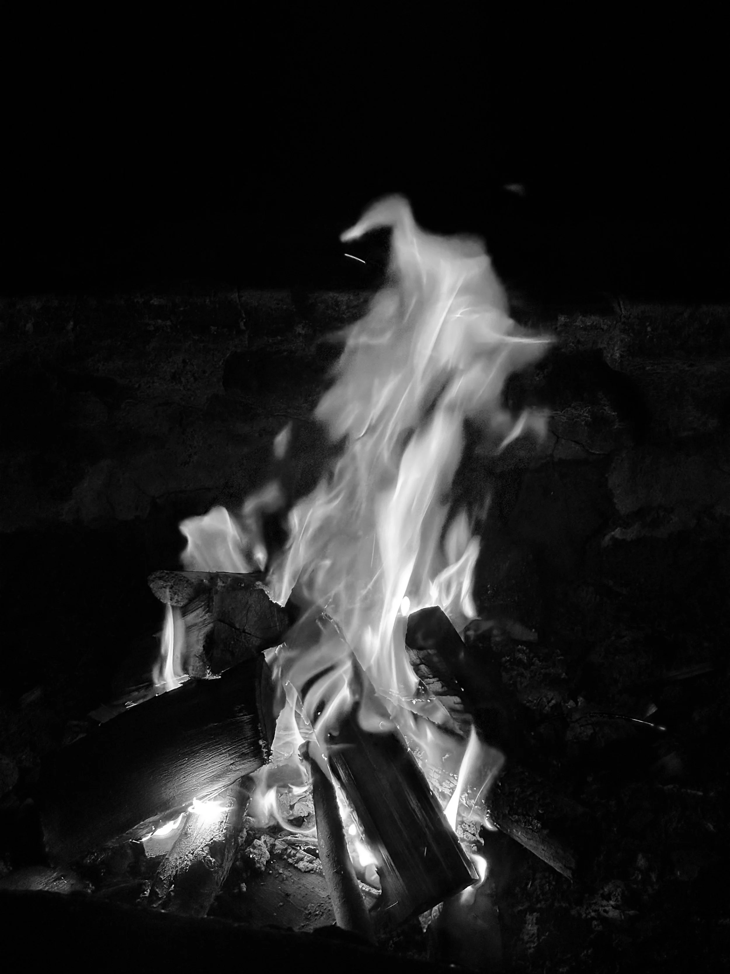 Remembered in the Woods 