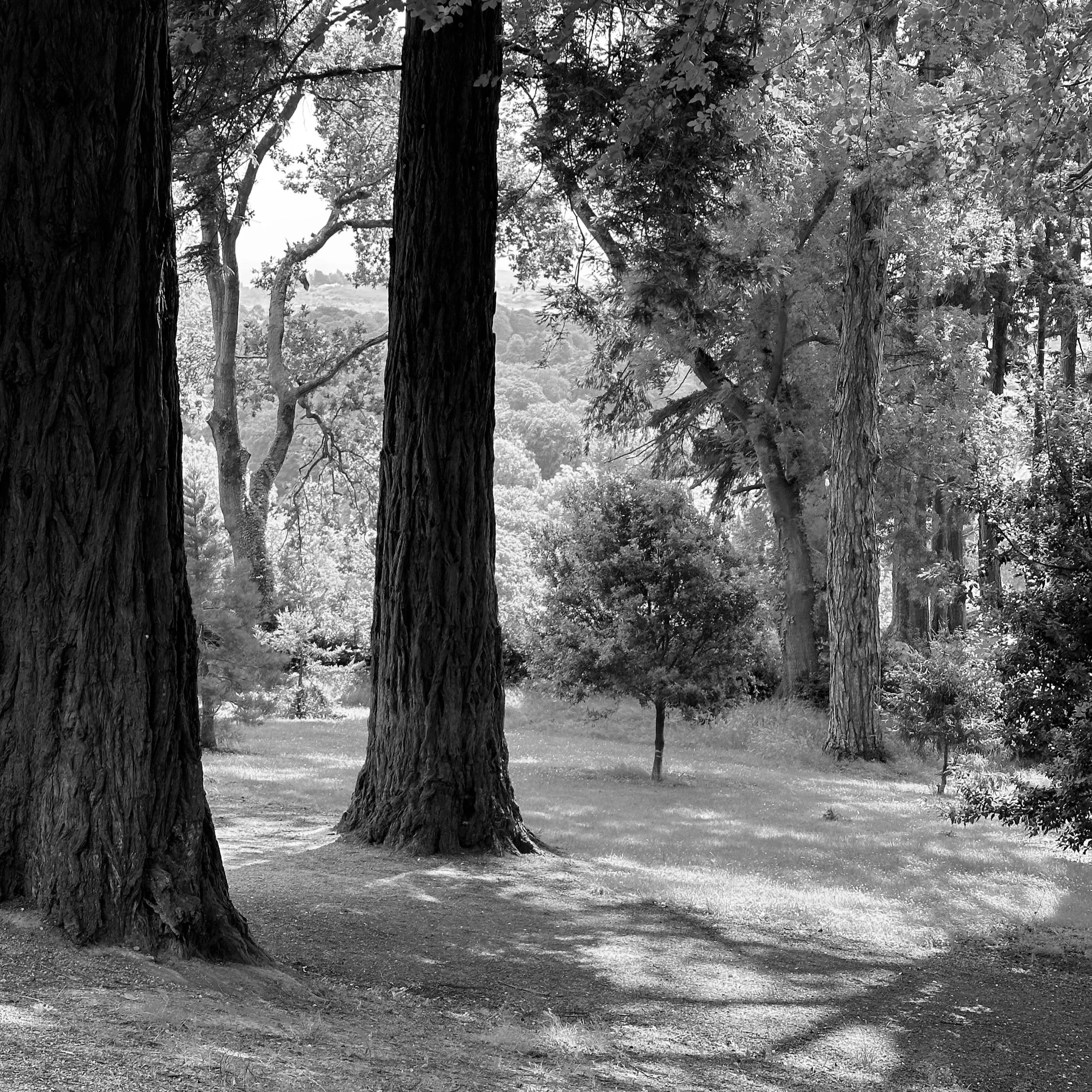 The Inner Child’s Invitation