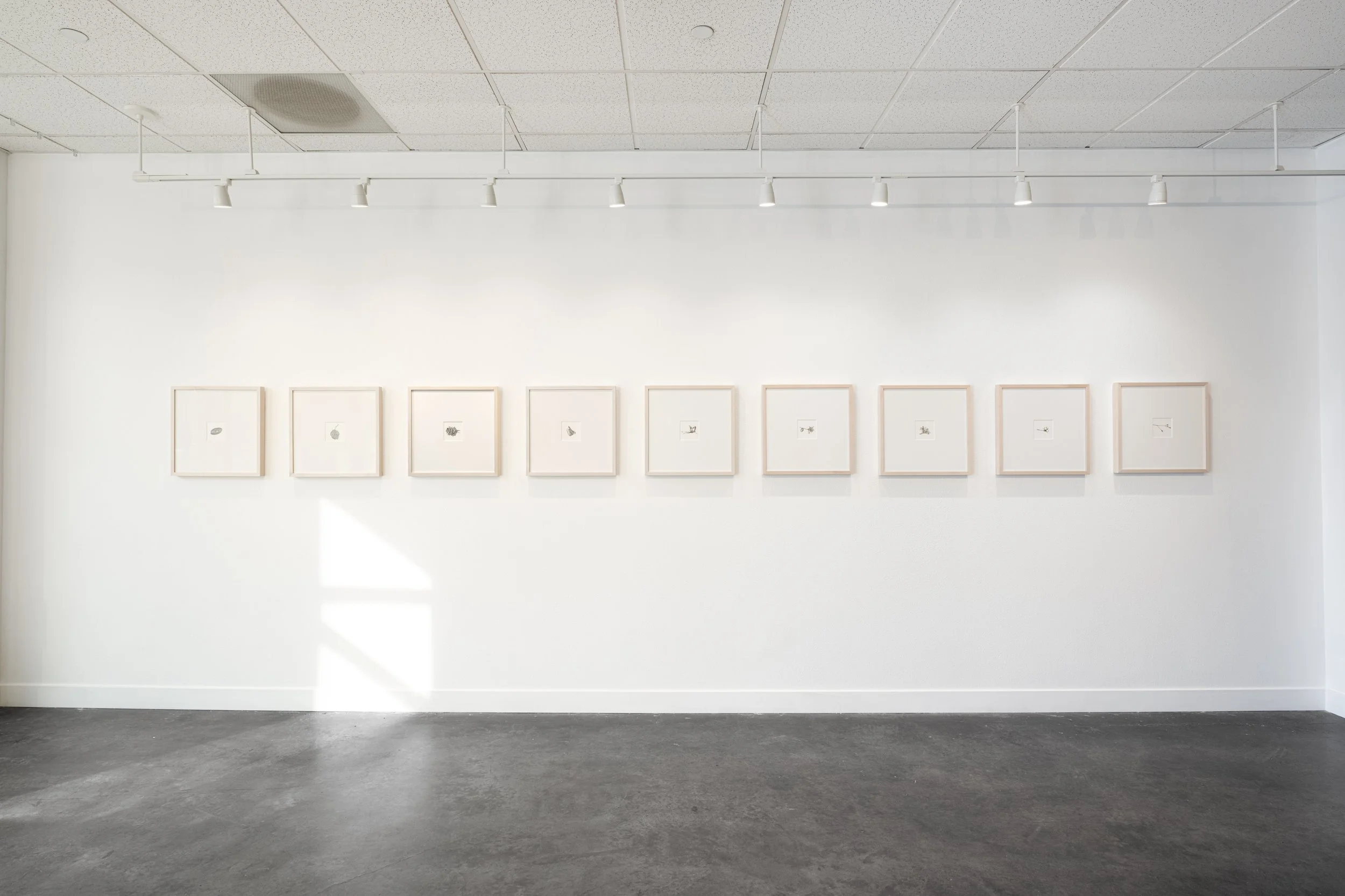 Victoria Smits Exhibition Documentation-1.jpg