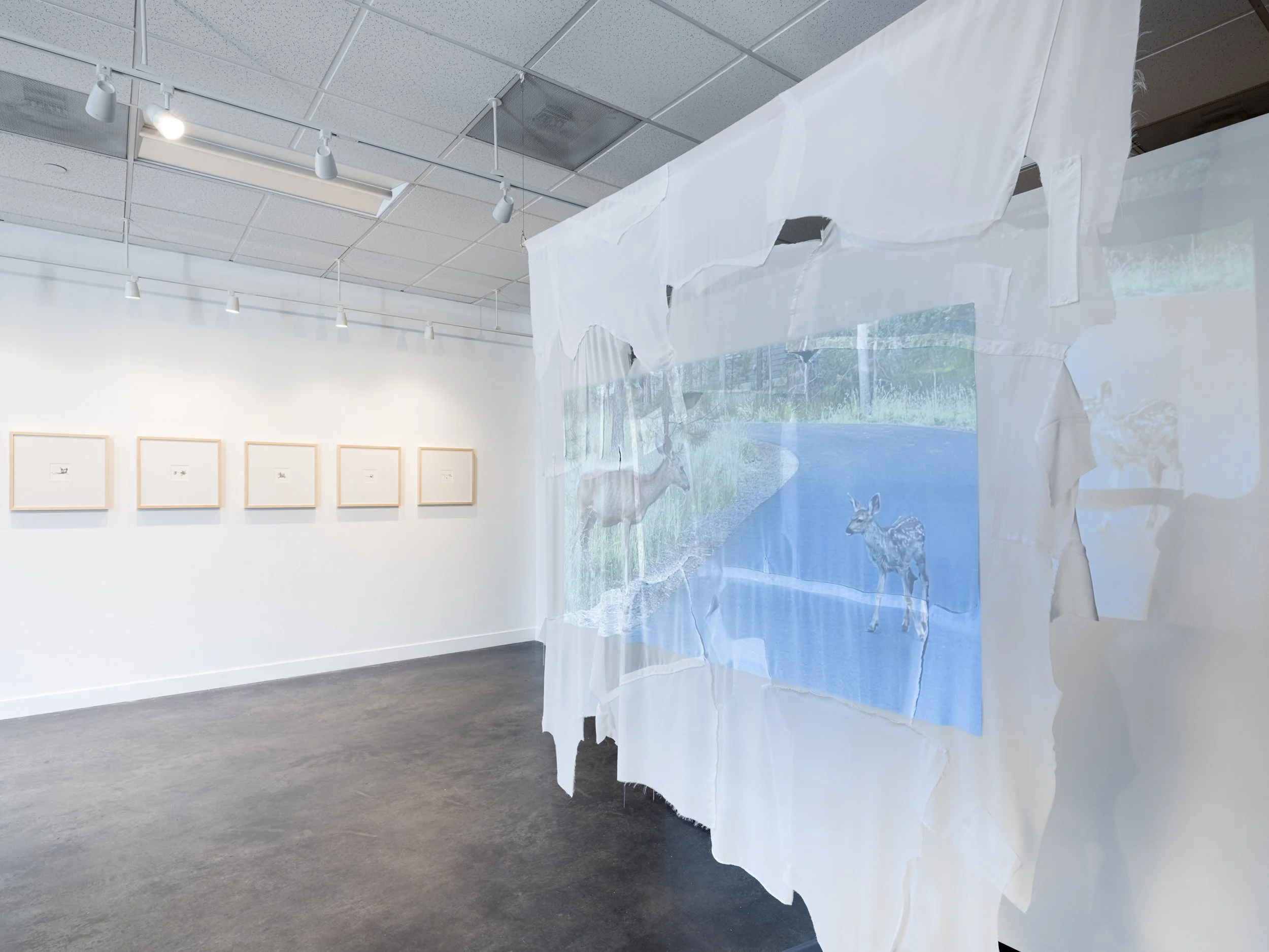 Victoria Smits Exhibition Documentation-3.jpg