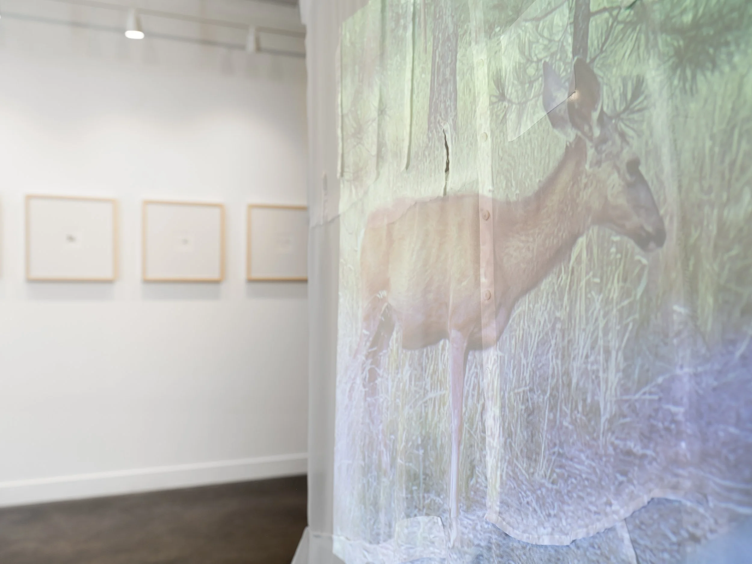 Victoria Smits Exhibition Documentation-4.jpg