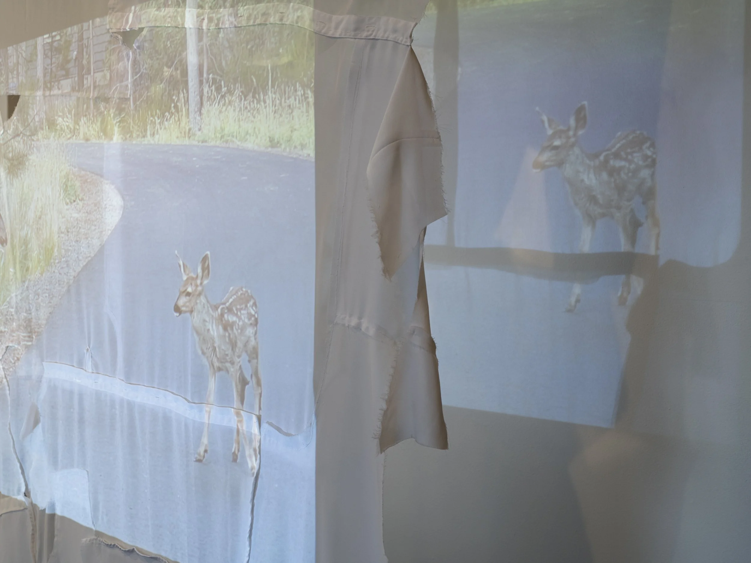 Victoria Smits Exhibition Documentation-5.jpg