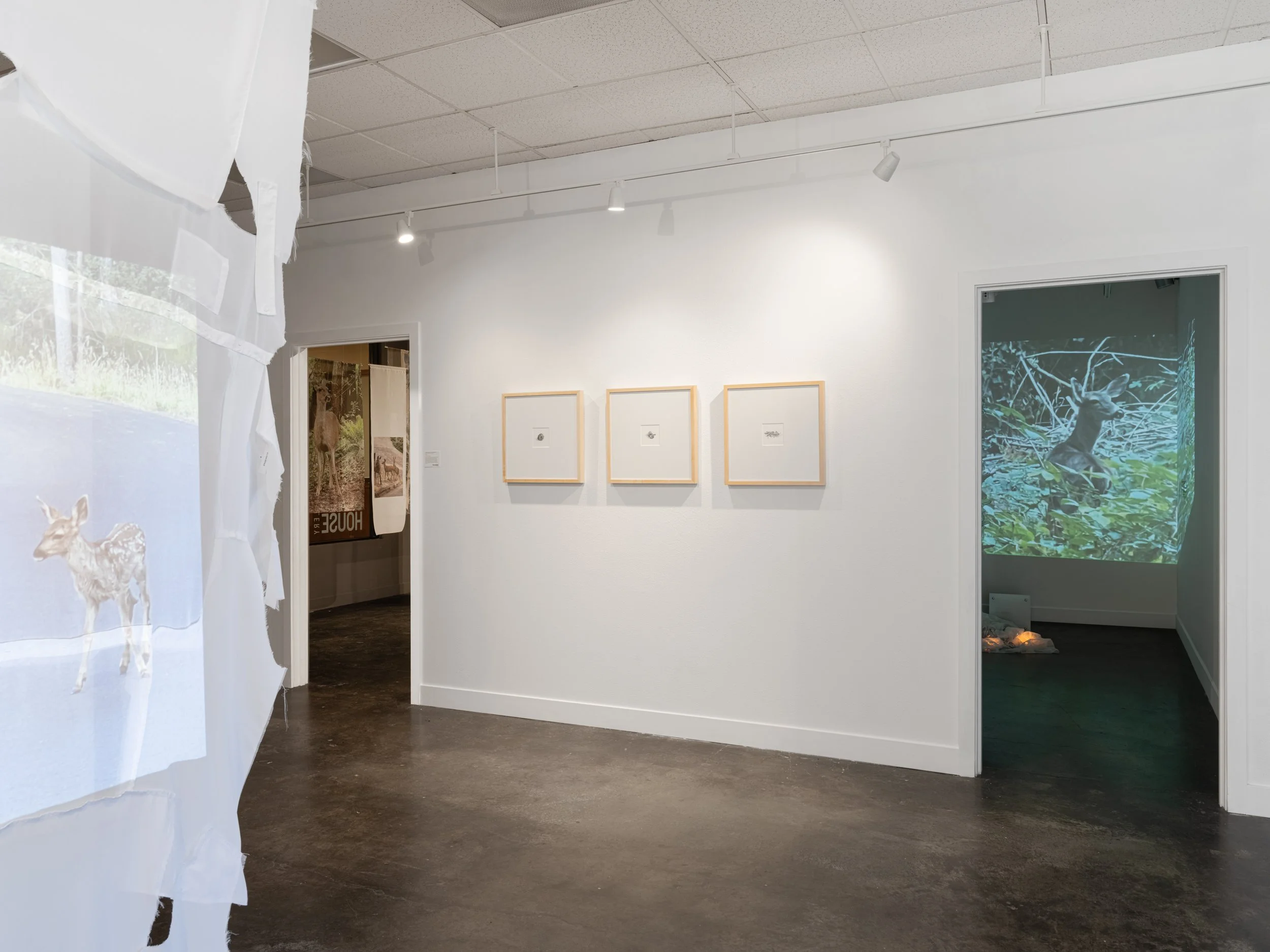 Victoria Smits Exhibition Documentation-7.jpg