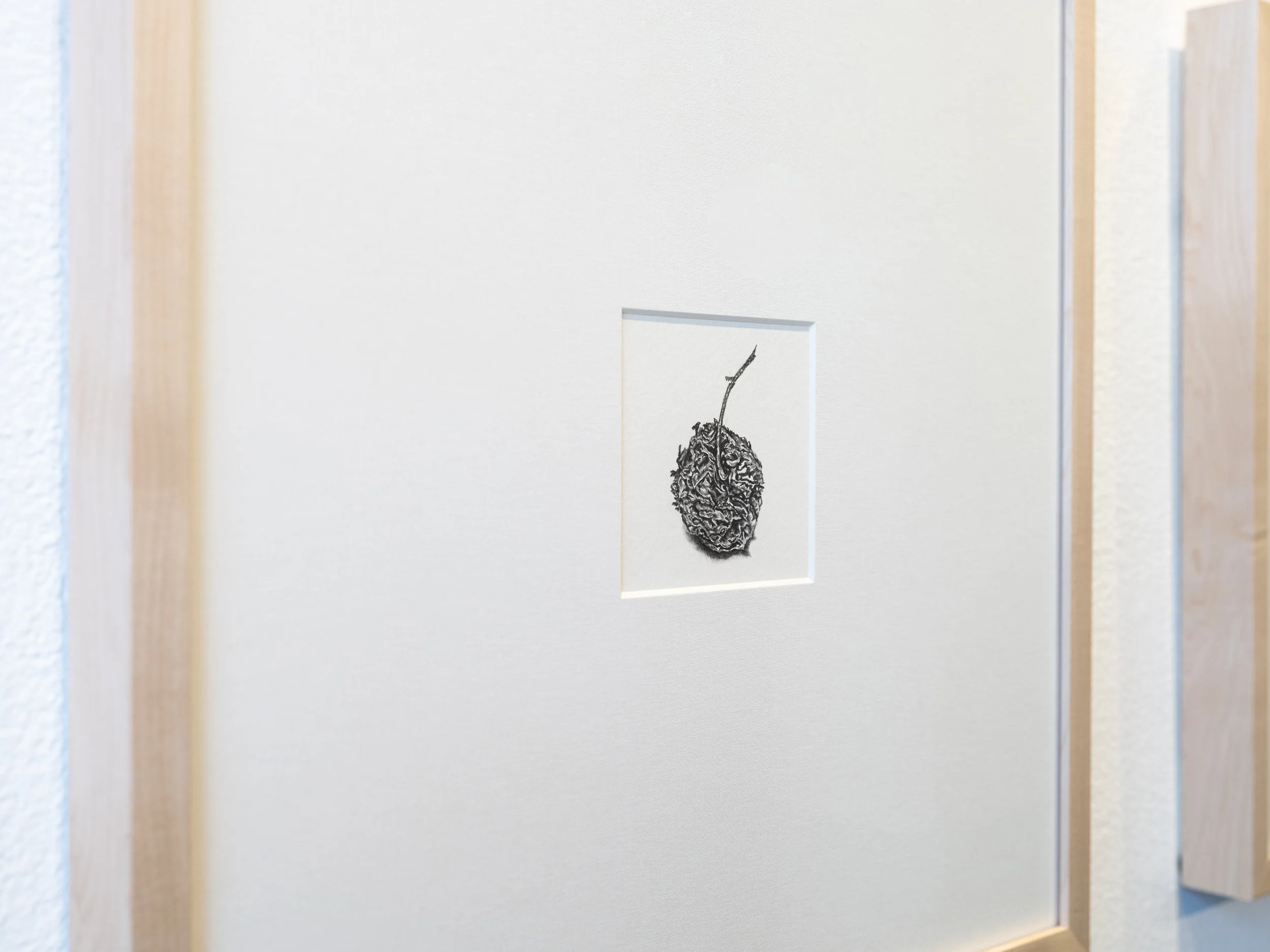 Victoria Smits Exhibition Documentation-10.jpg