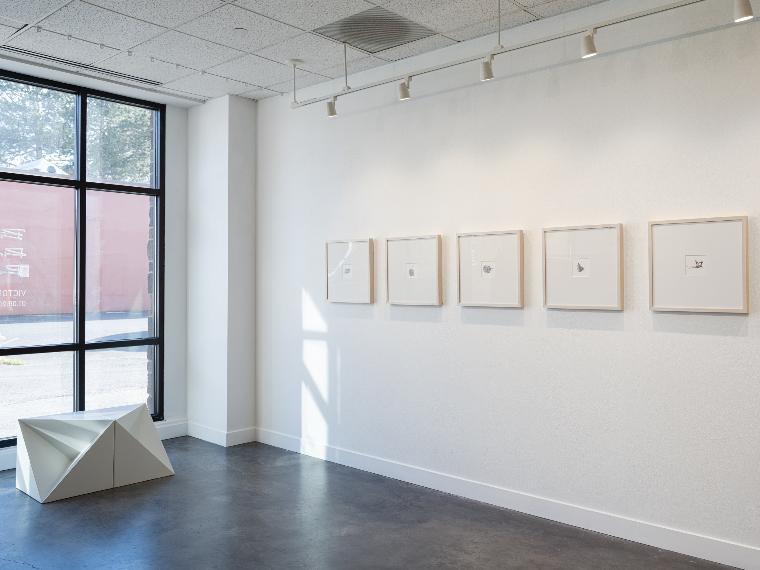 Victoria Smits Exhibition Documentation-13.jpg