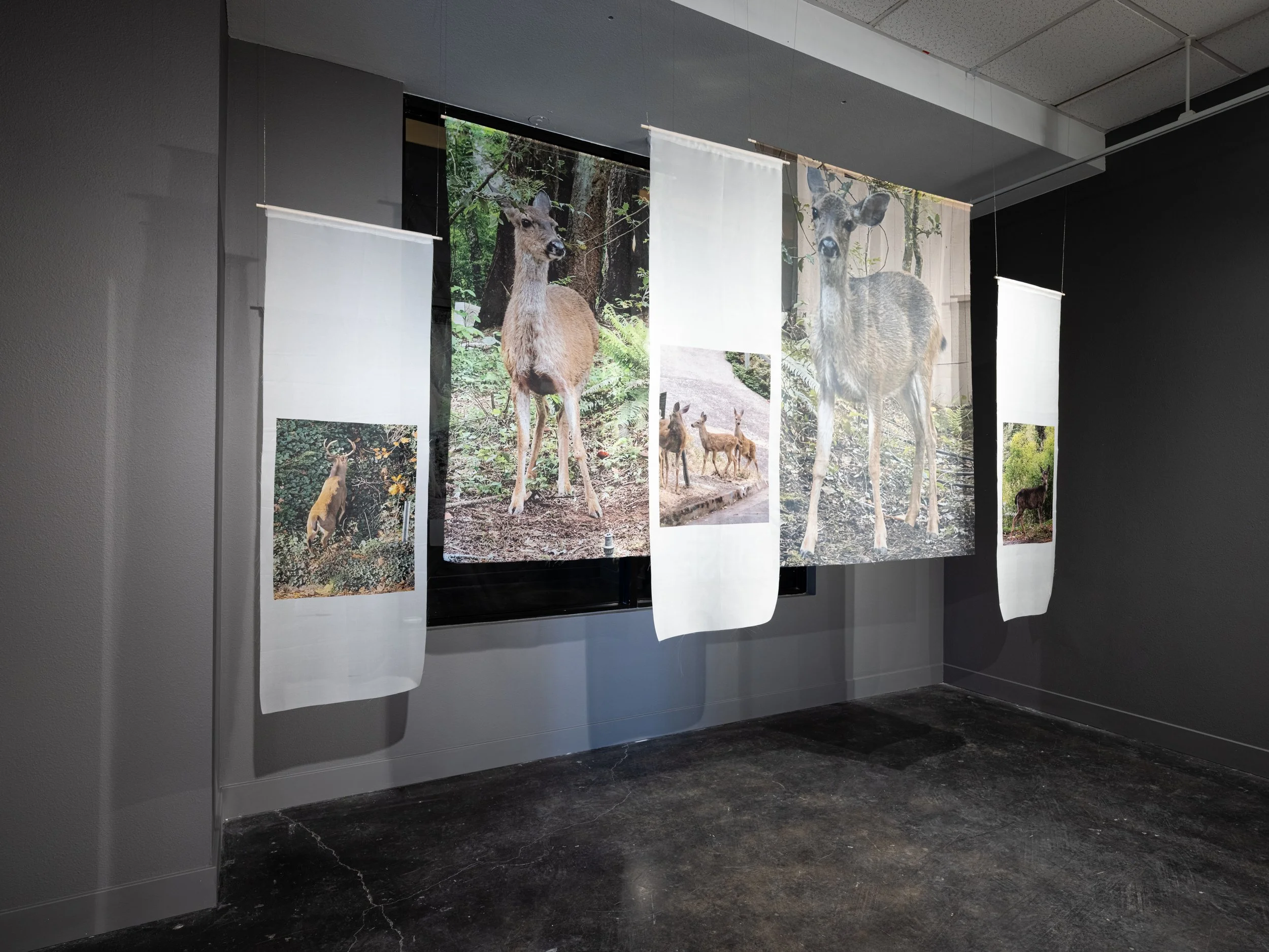 Victoria Smits Exhibition Documentation-15.jpg