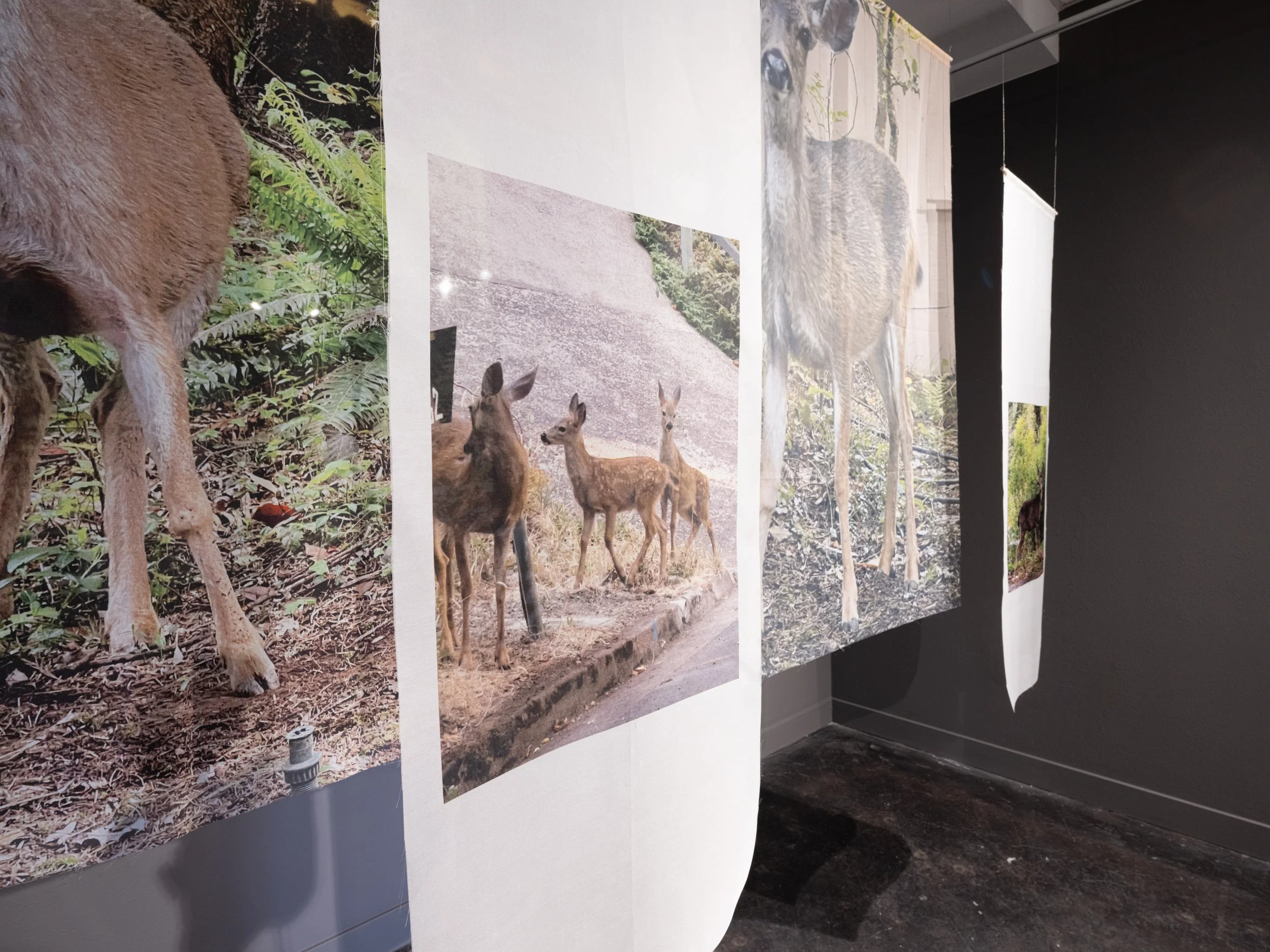 Victoria Smits Exhibition Documentation-16.jpg