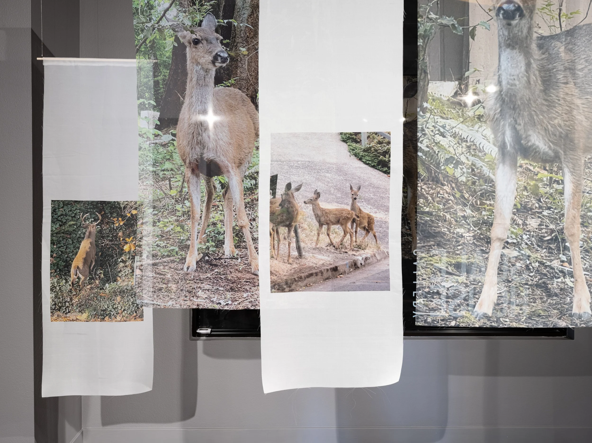 Victoria Smits Exhibition Documentation-17.jpg