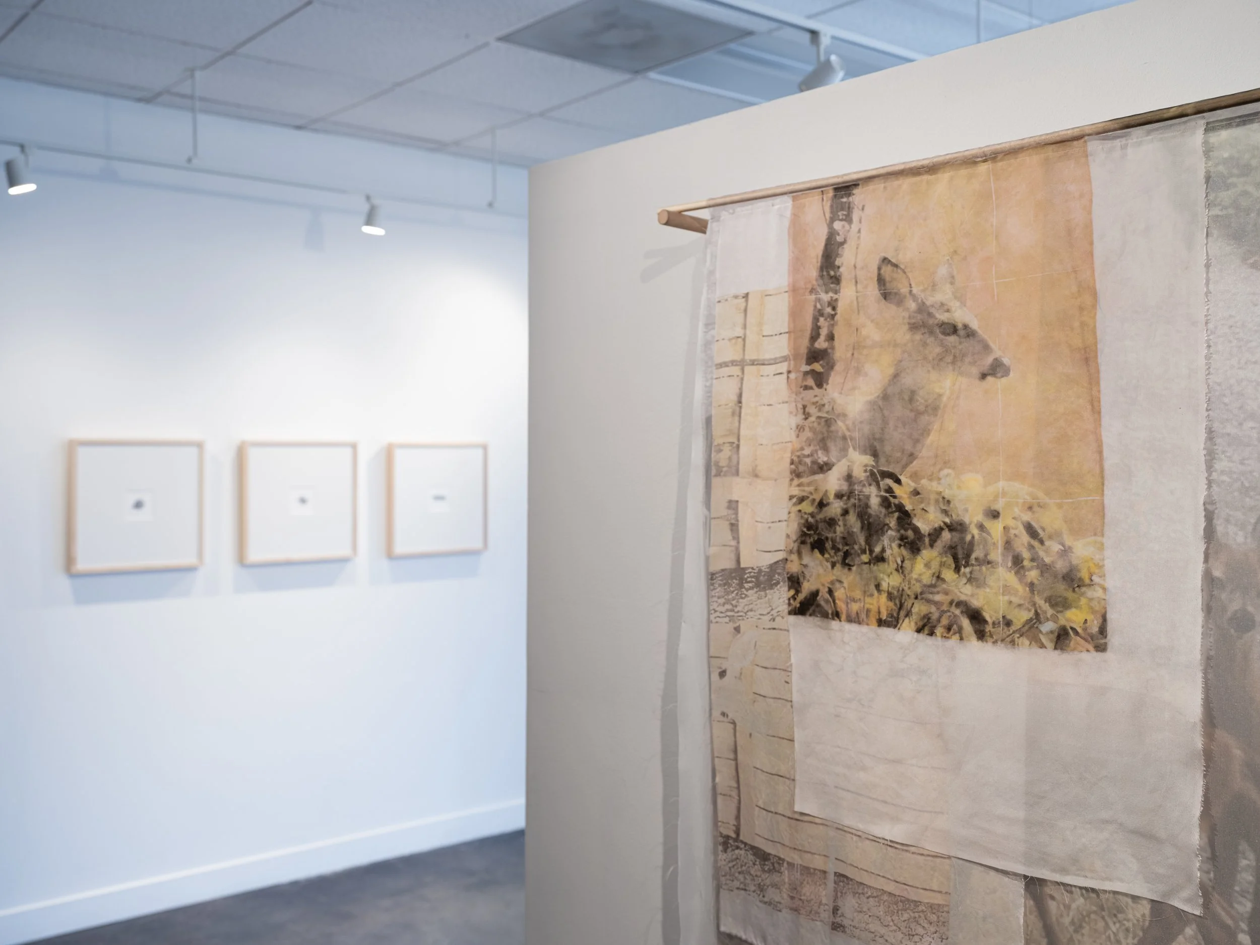 Victoria Smits Exhibition Documentation-19.jpg