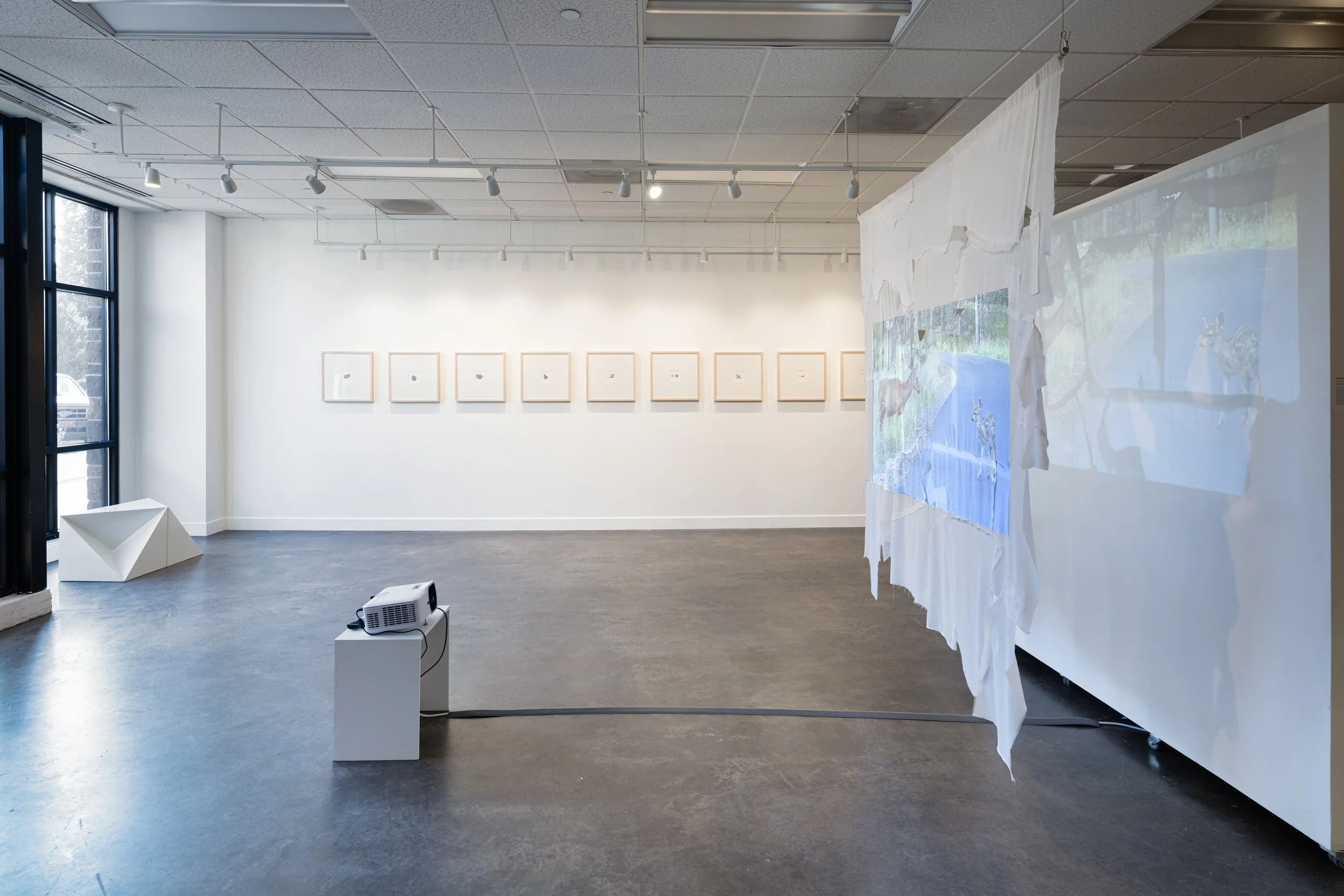 Victoria Smits Exhibition Documentation-20.jpg