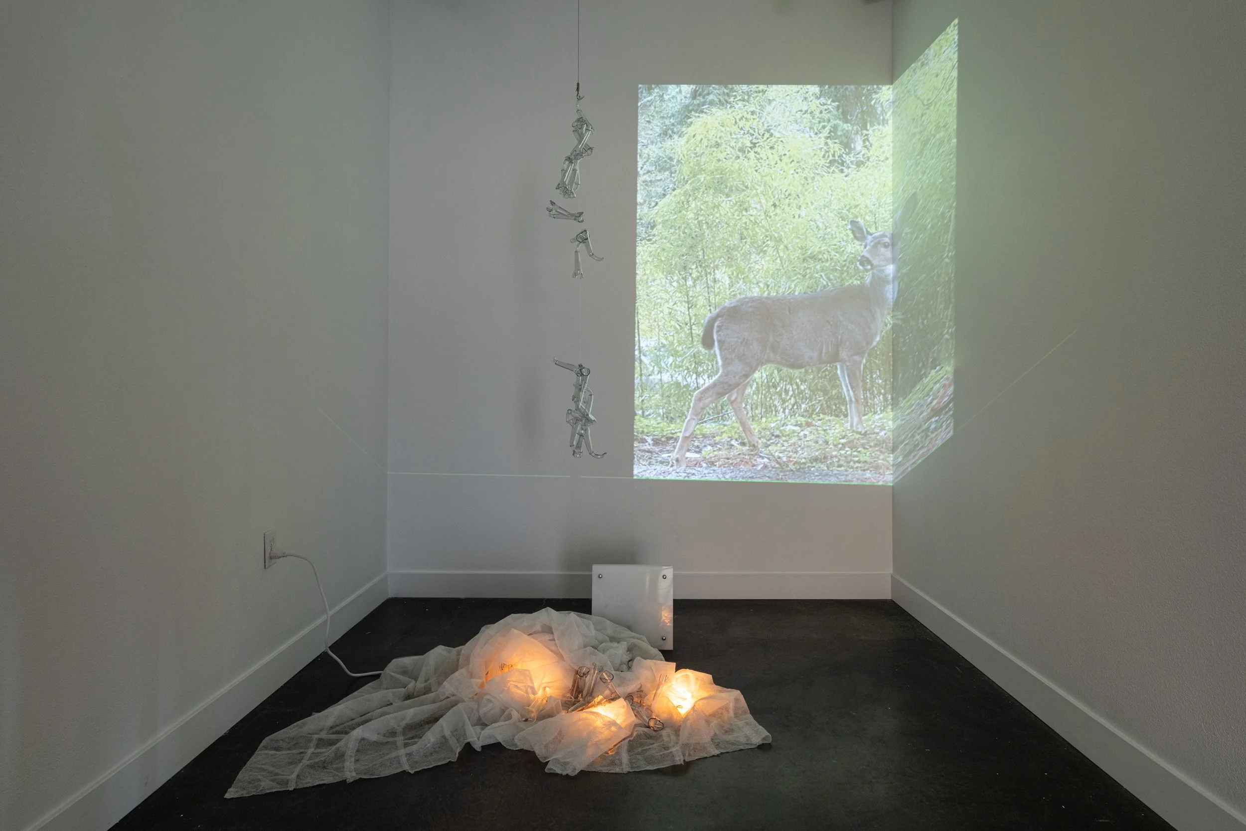 Victoria Smits Exhibition Documentation-22.jpg