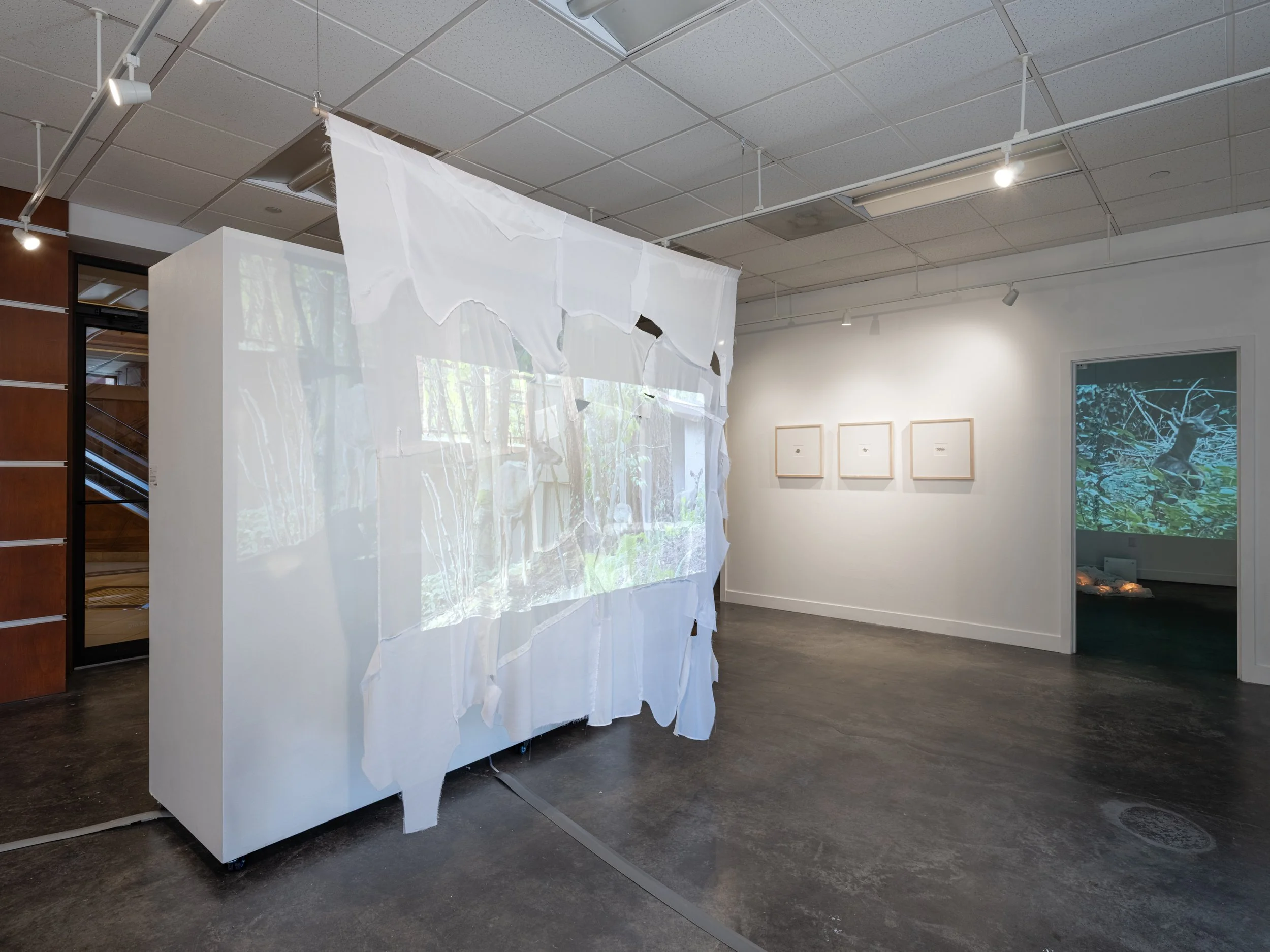 Victoria Smits: Be Right Back Exhibition Photos