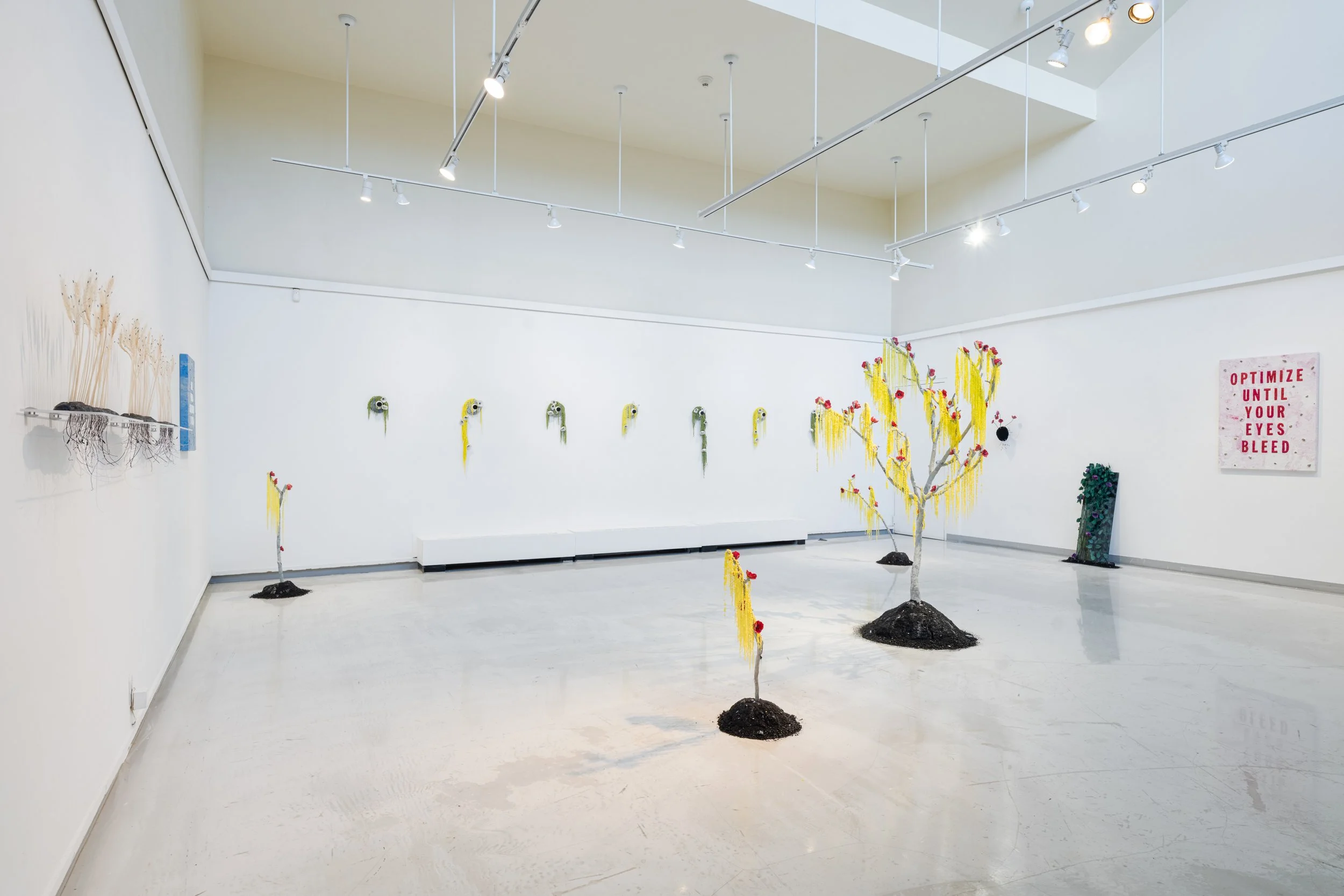 Hannah Newman Exhibition Photos-5.jpg