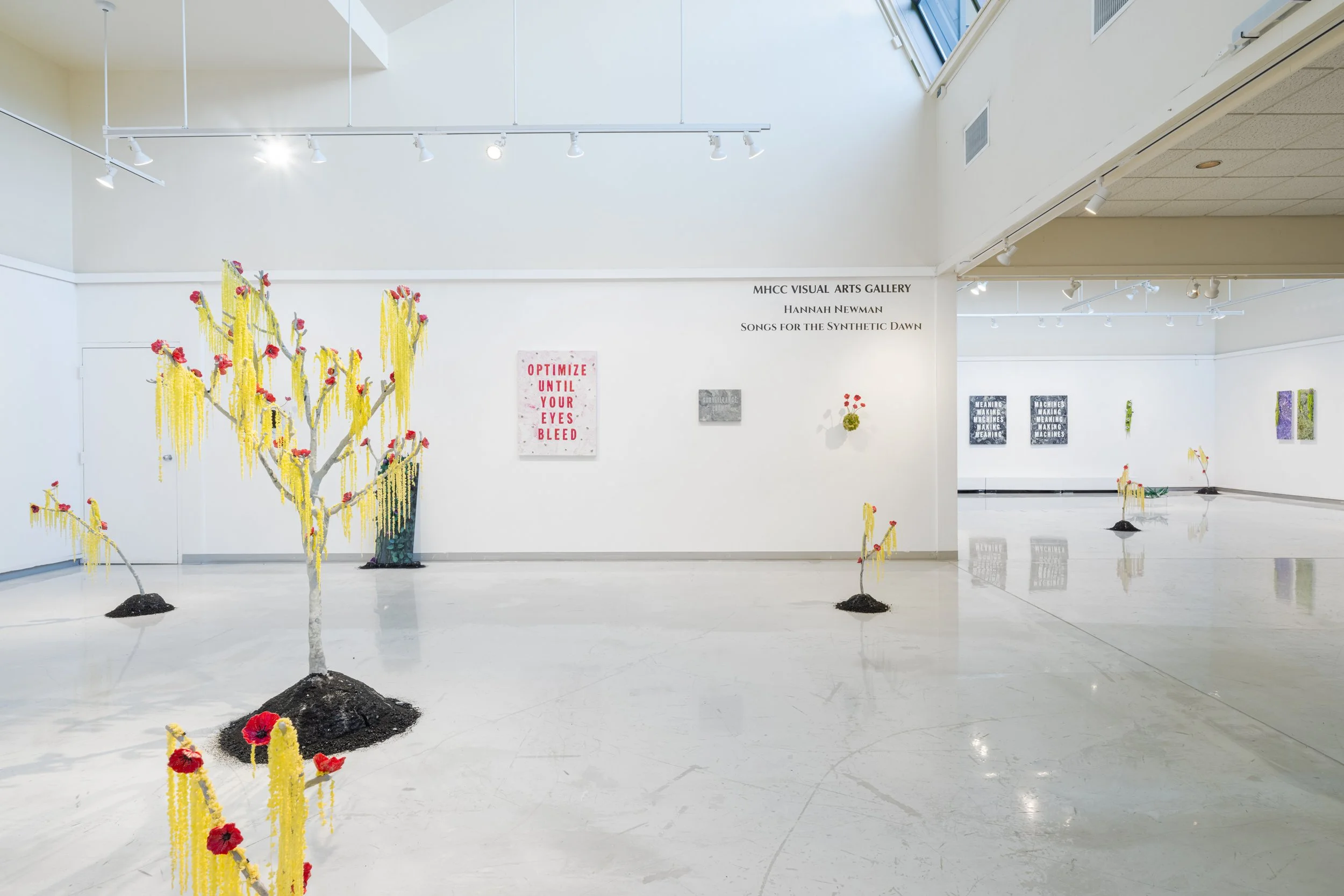 Hannah Newman Exhibition Photos-6.jpg