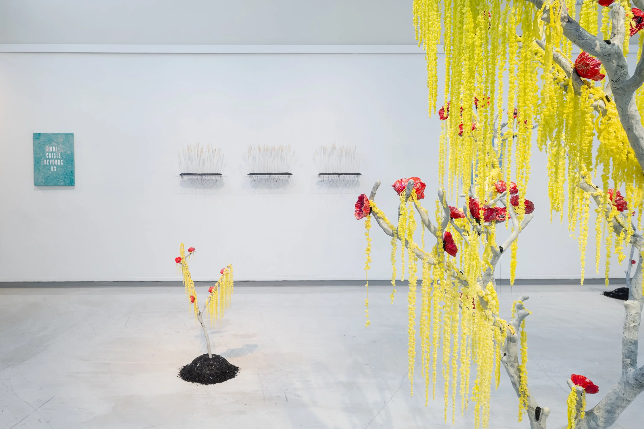 Hannah Newman Exhibition Photos-8.jpg