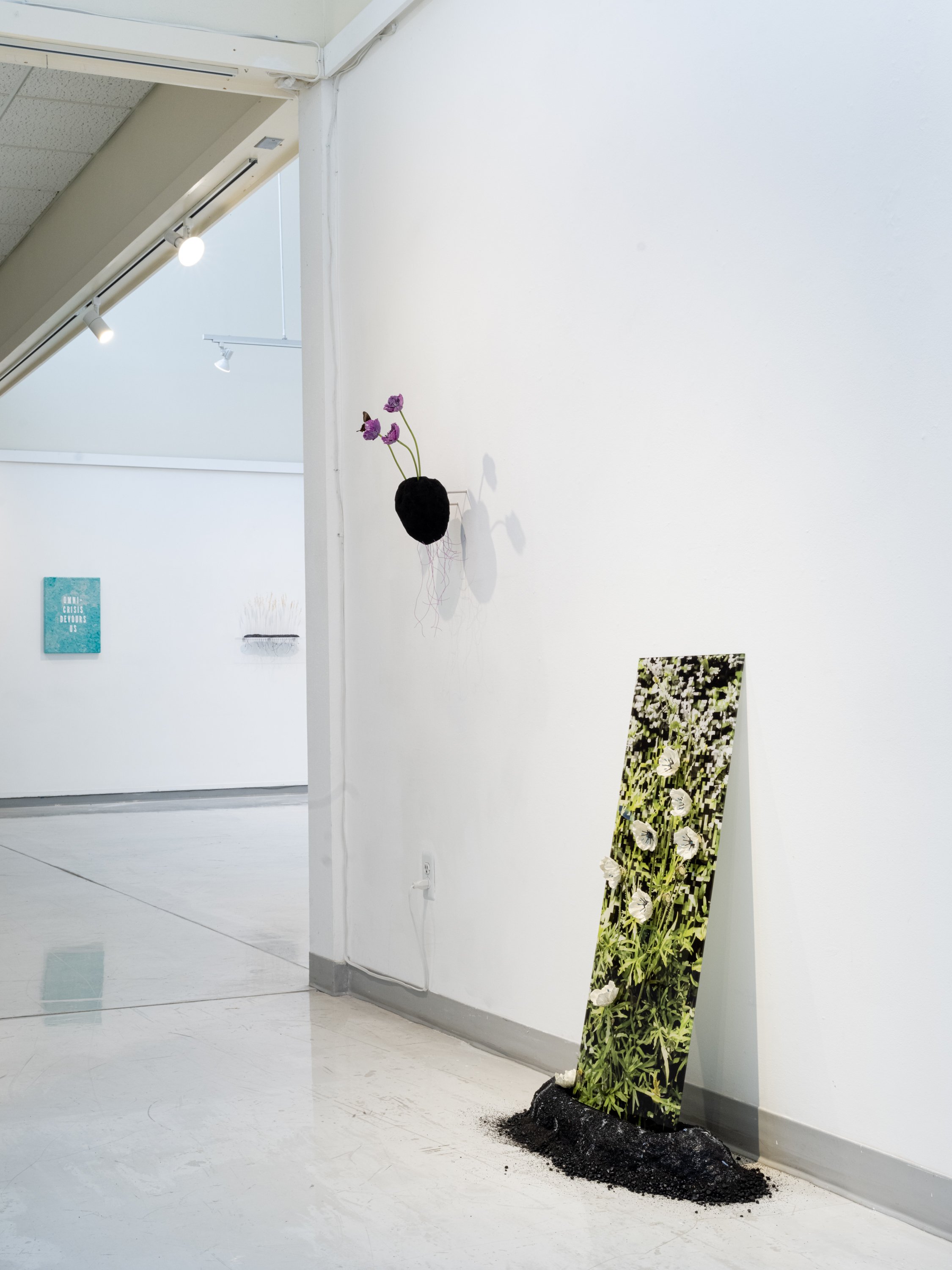 Hannah Newman Exhibition Photos-13.jpg