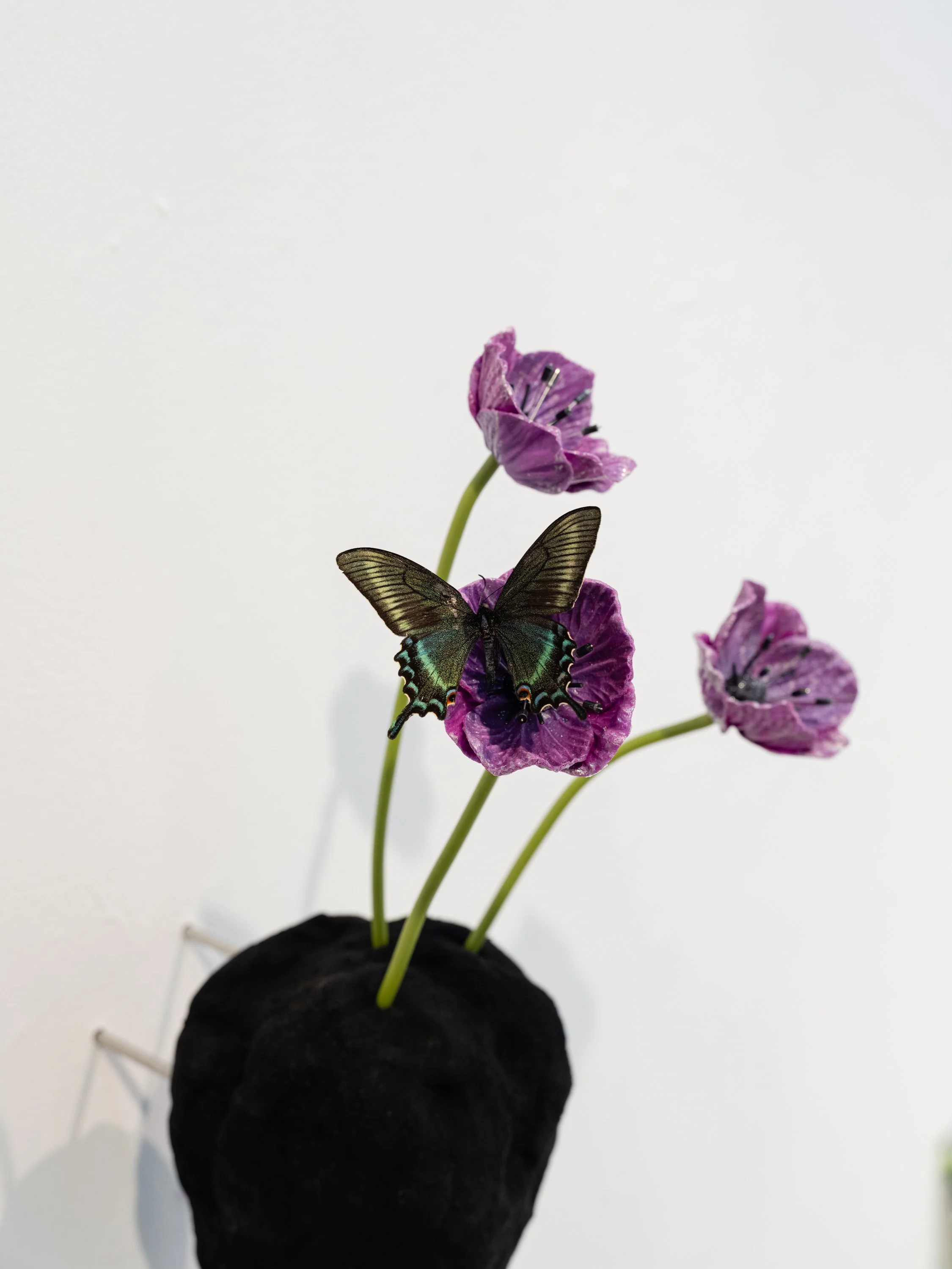 Hannah Newman Exhibition Photos-15.jpg