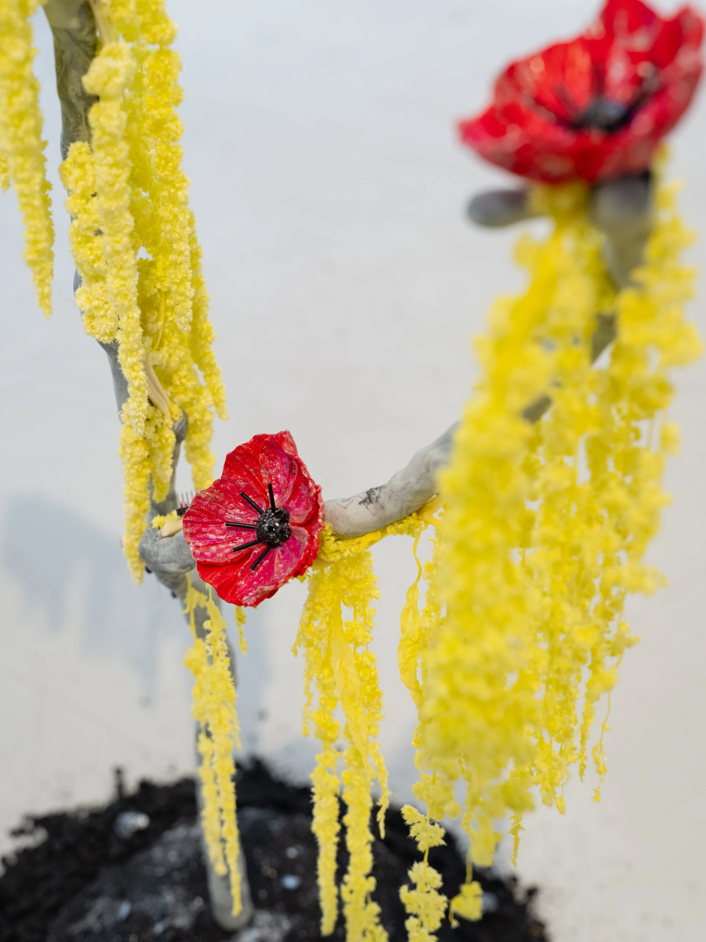 Hannah Newman Exhibition Photos-17.jpg