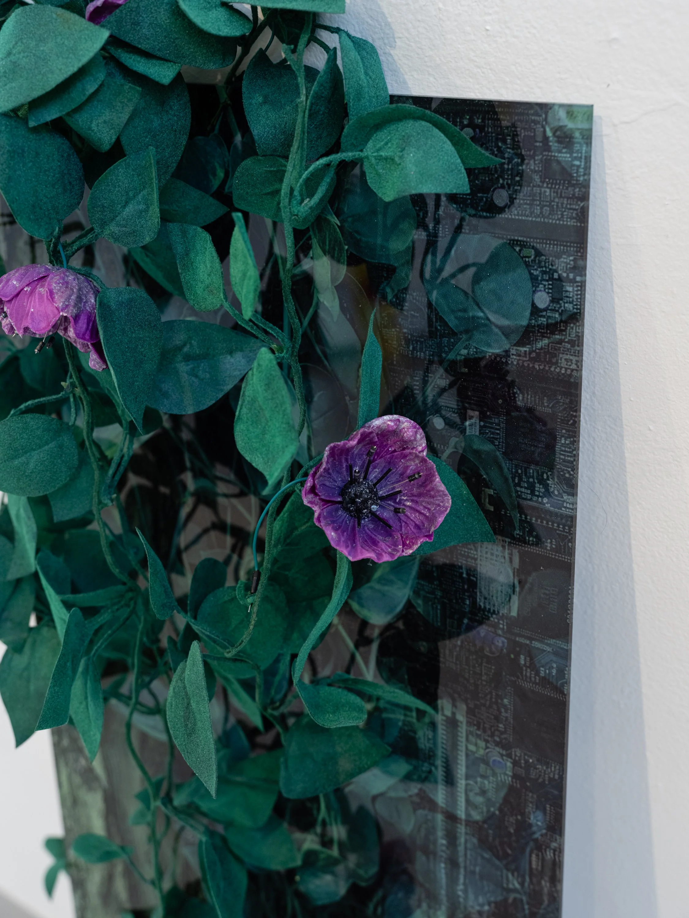 Hannah Newman Exhibition Photos-19.jpg