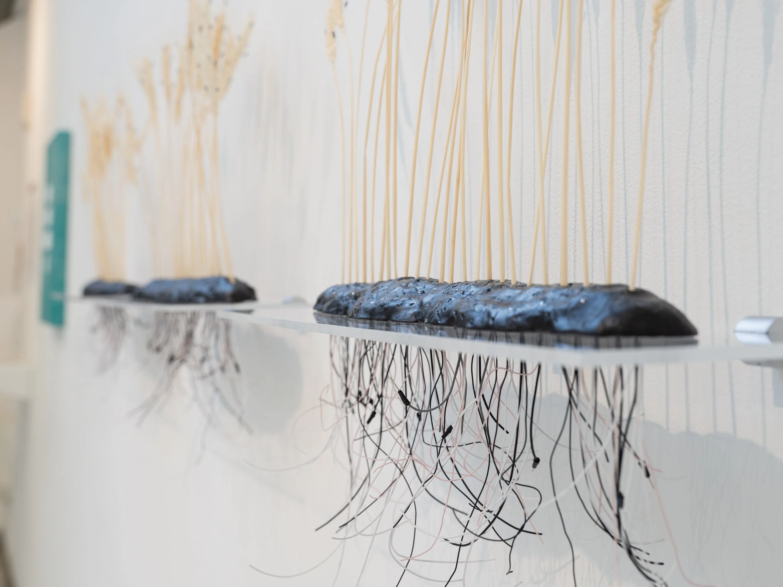 Hannah Newman Exhibition Photos-24.jpg