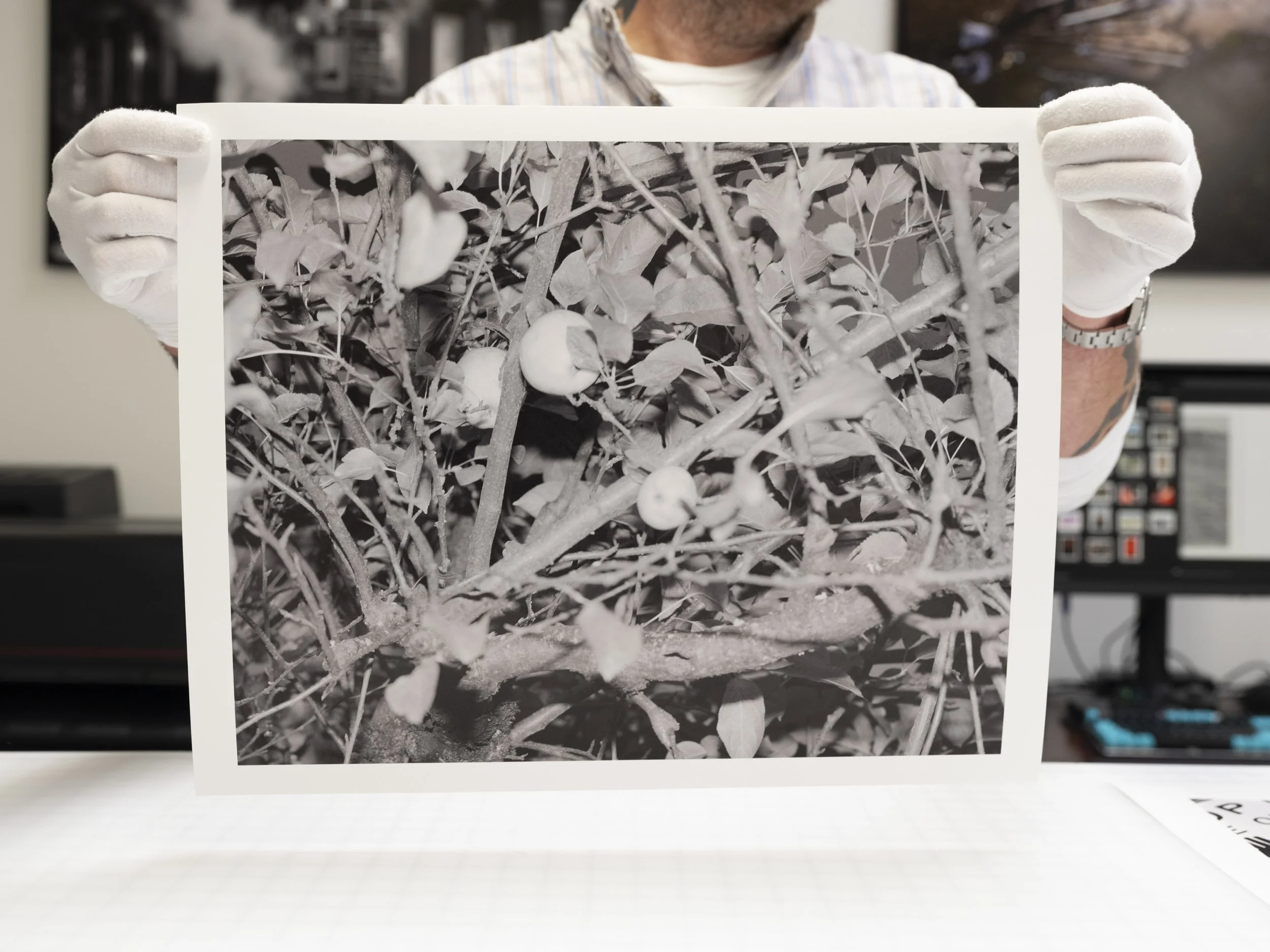  Photography by  Sarah Meadows  