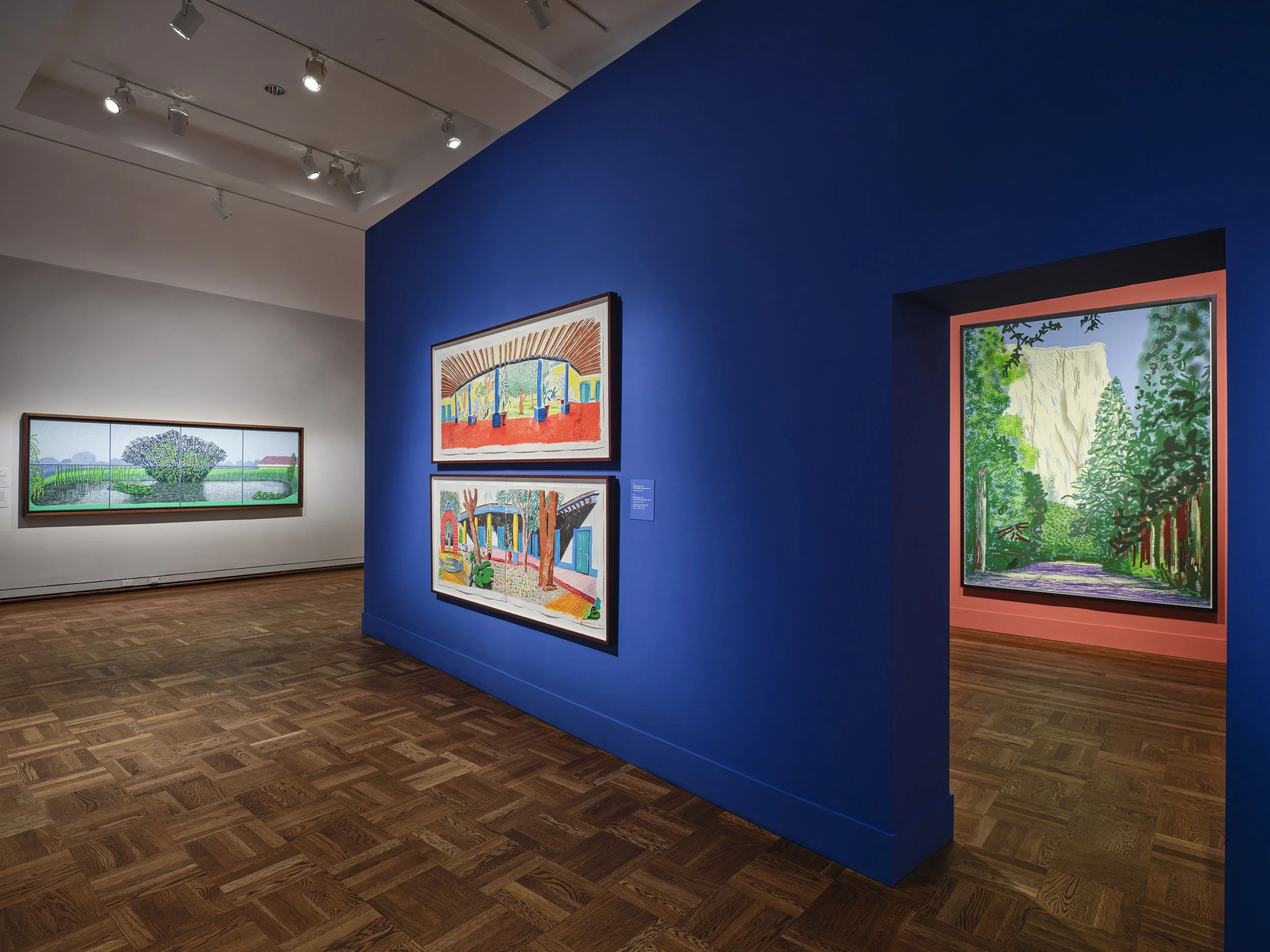 Hockney_PortlandArtMuseum_ArtDocumentation-5.jpg