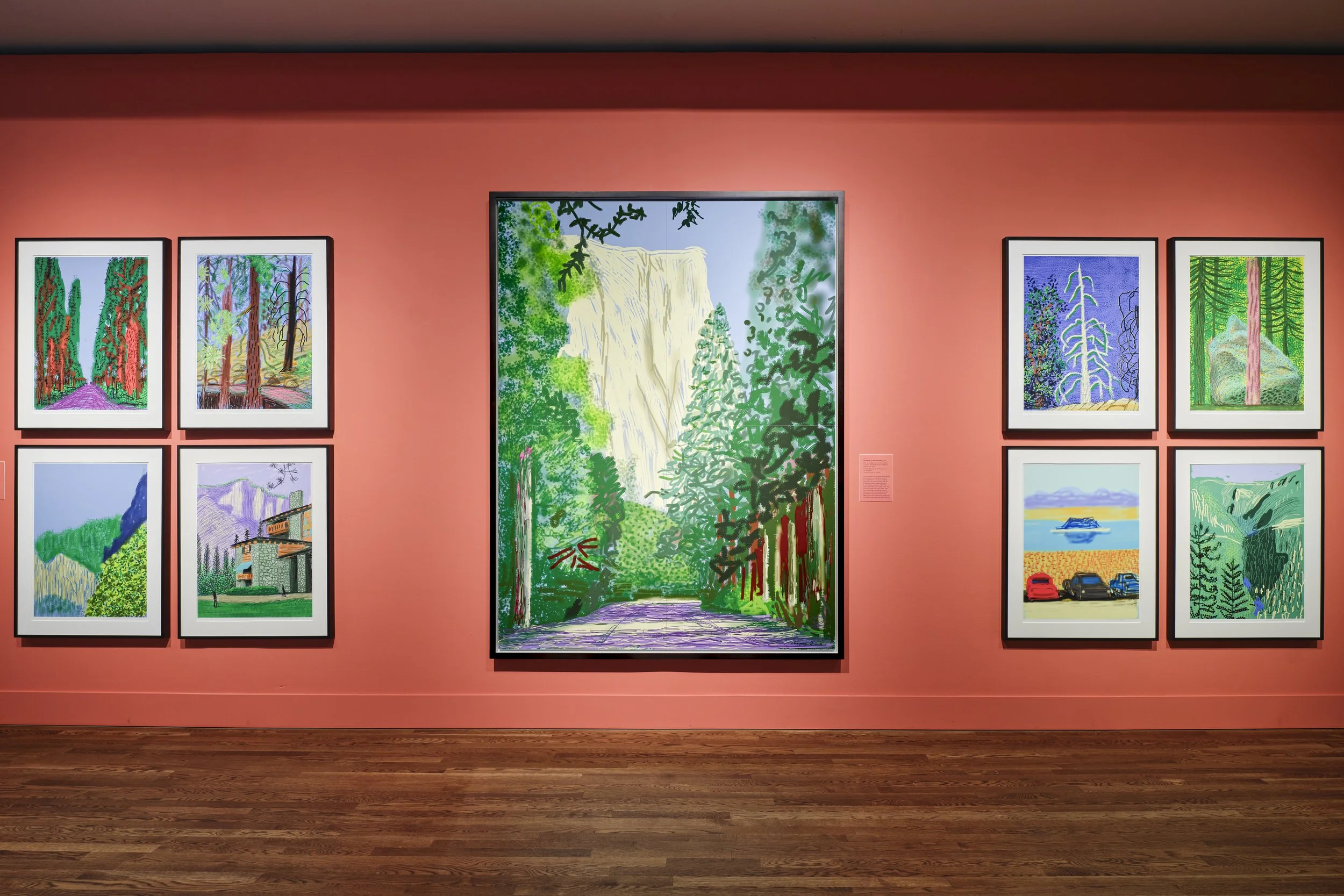 Hockney_PortlandArtMuseum_ArtDocumentation-12.jpg
