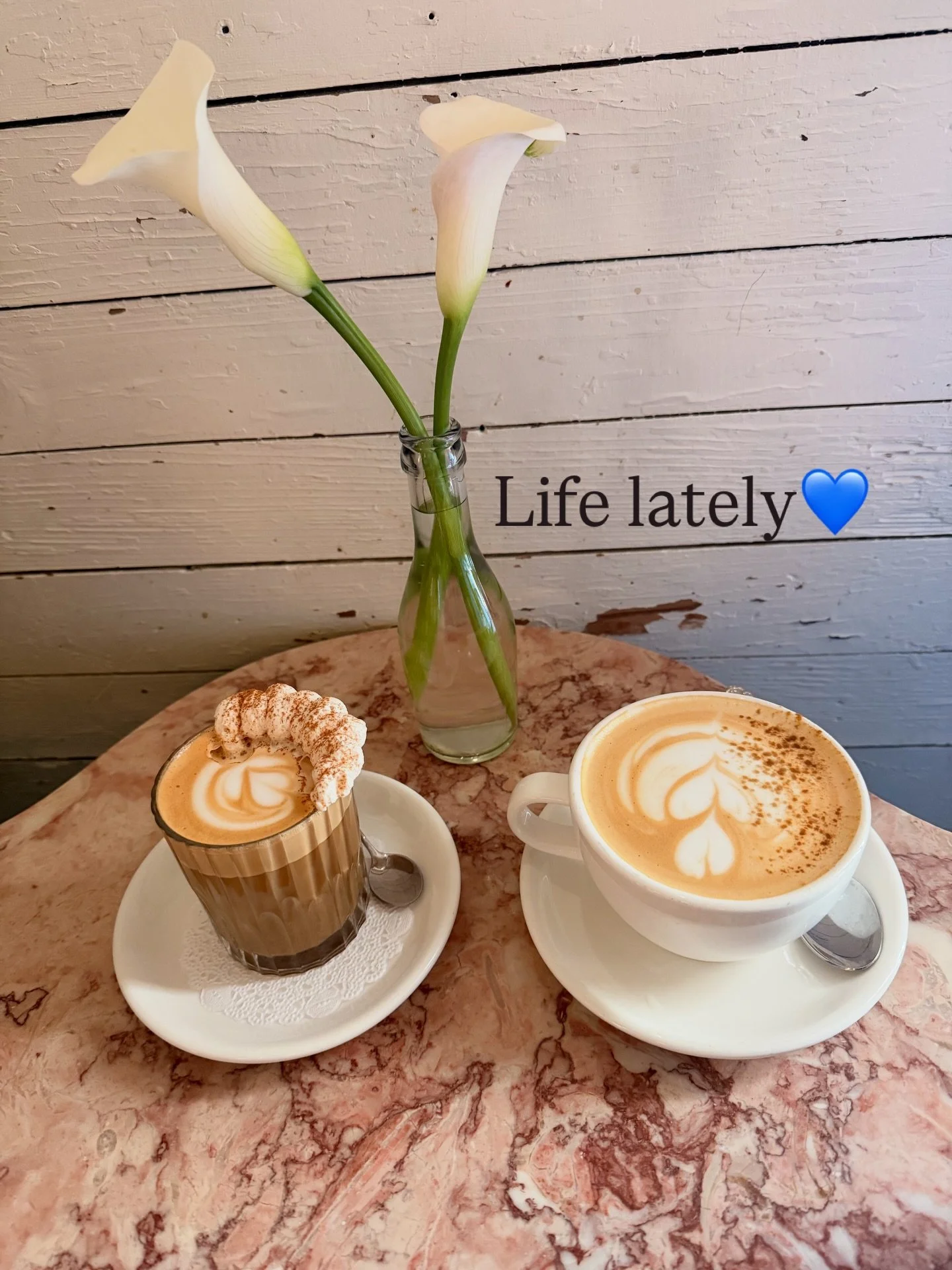 Life lately has been very quiet yet busy. Everything feels bigger than me yet so small. It&rsquo;s always important to find joy even in the harshest of moment. I started a revel as a reminder to enjoy the moment. To me that means being present, but a