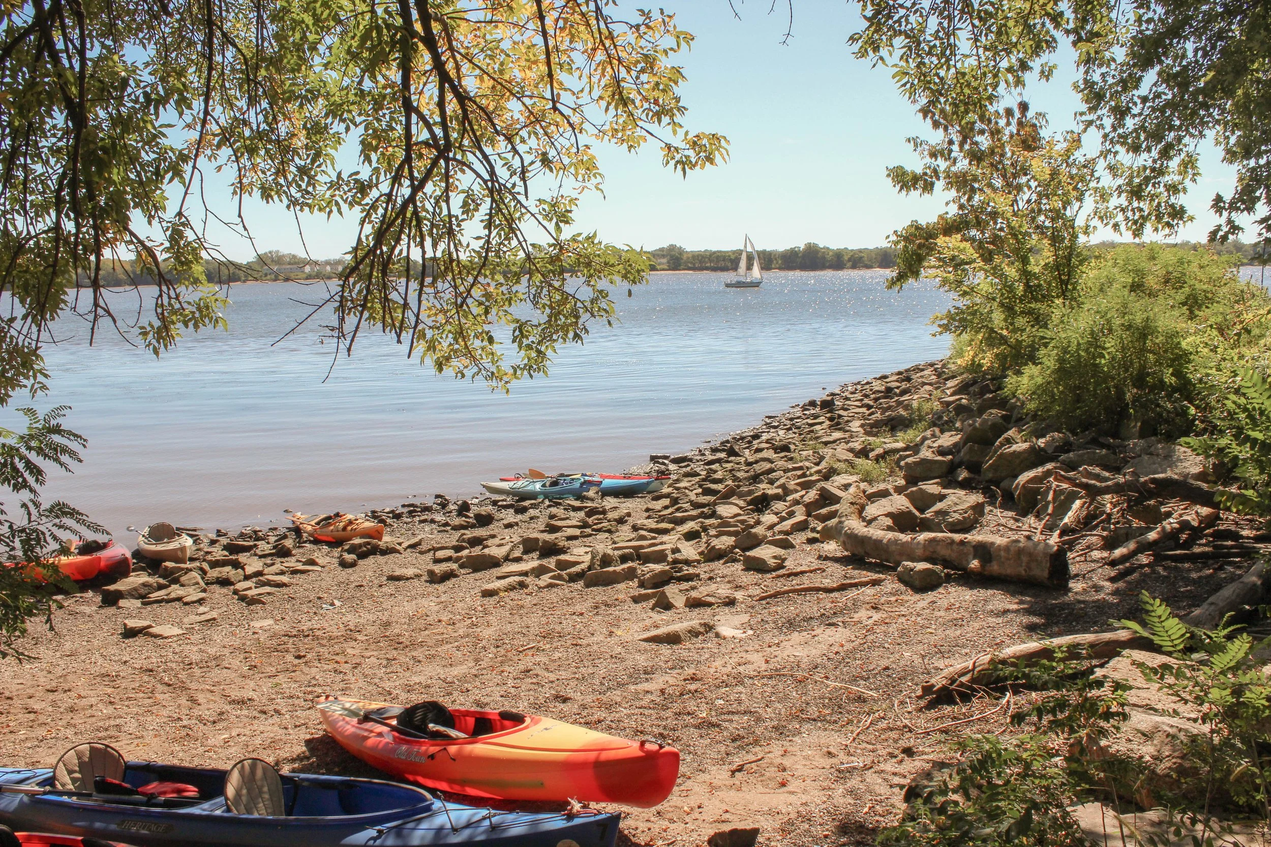 Kayak Event on the River.jpg